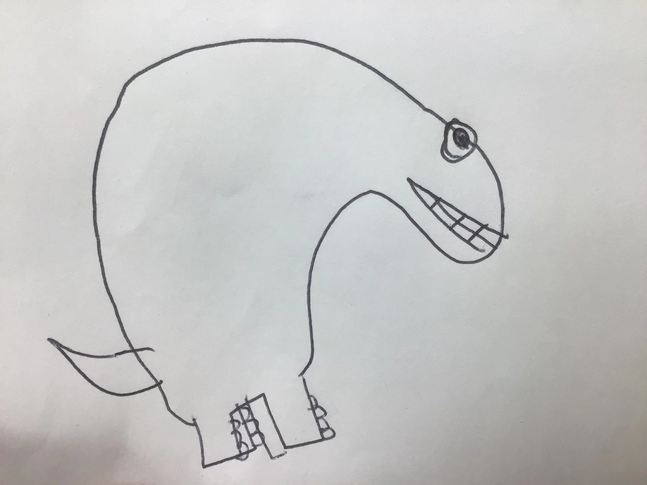 Phoenix IMG_1514 2026-02-18.jpeg