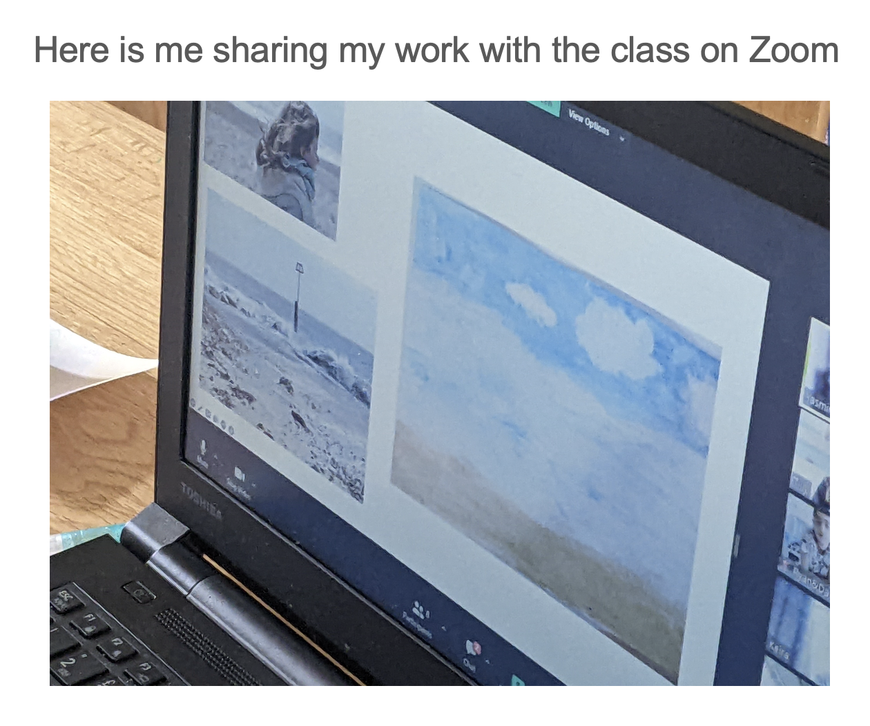 Laptop screen showing a zoom call with a woman and various images of landscapes and skies.