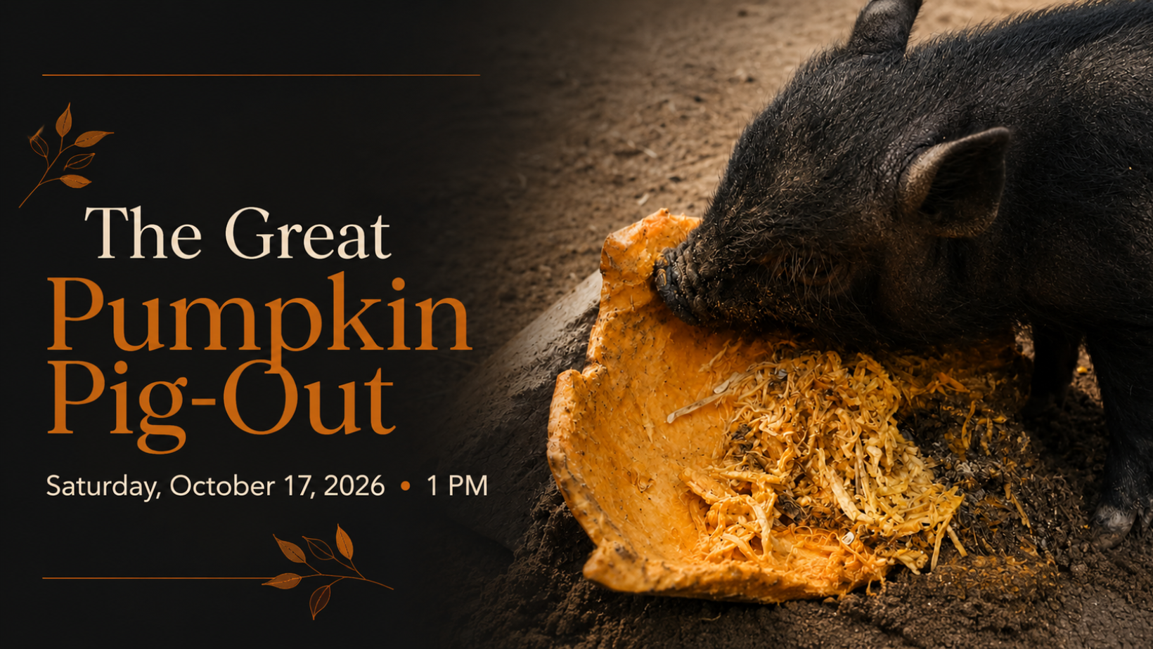 Join Cotton Branch and enjoy a family-friendly fall afternoon feeding pumpkins to rescued animals, desserts, & plenty of pig-filled fun.