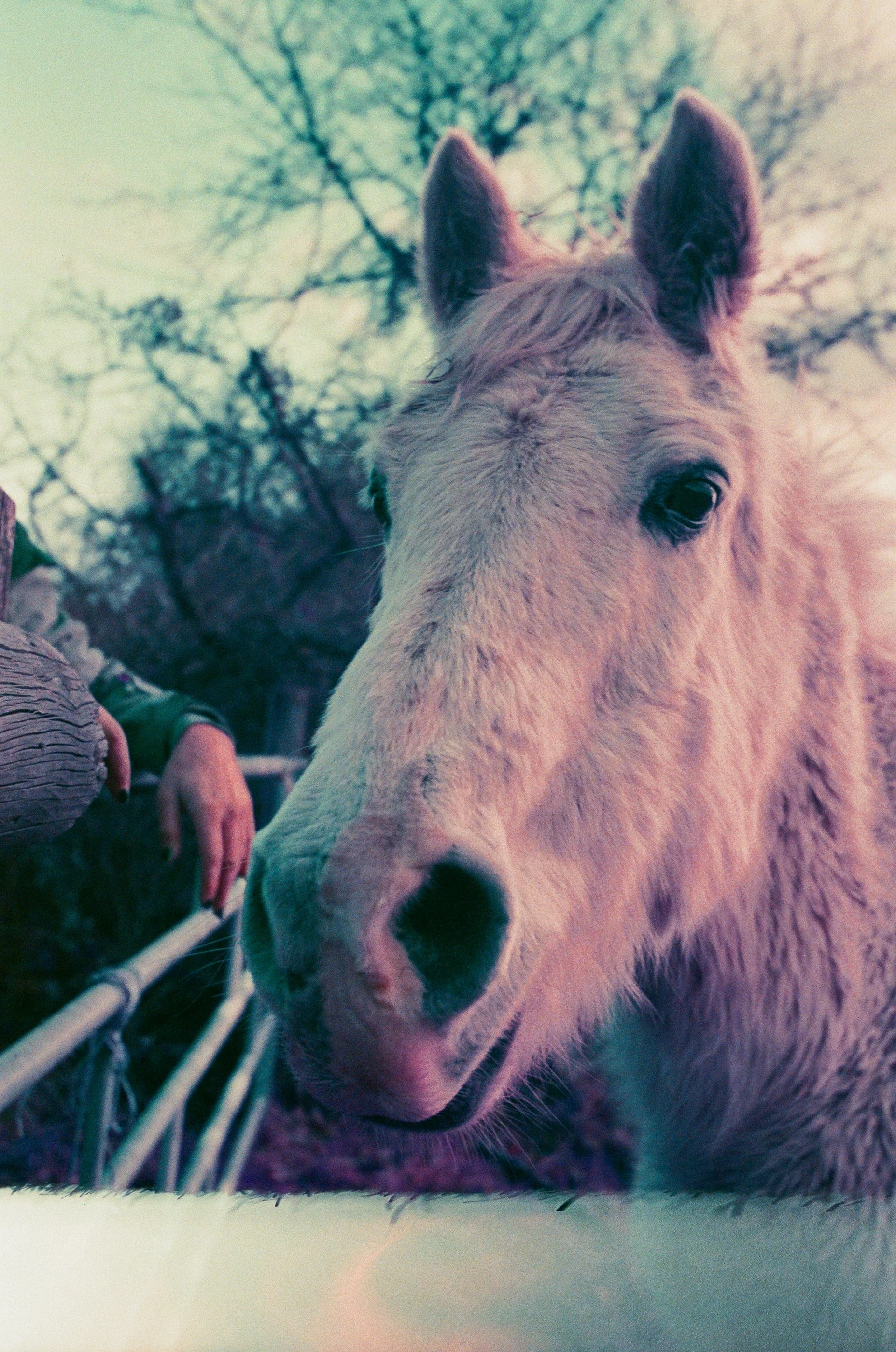 extra for roa-34.jpg