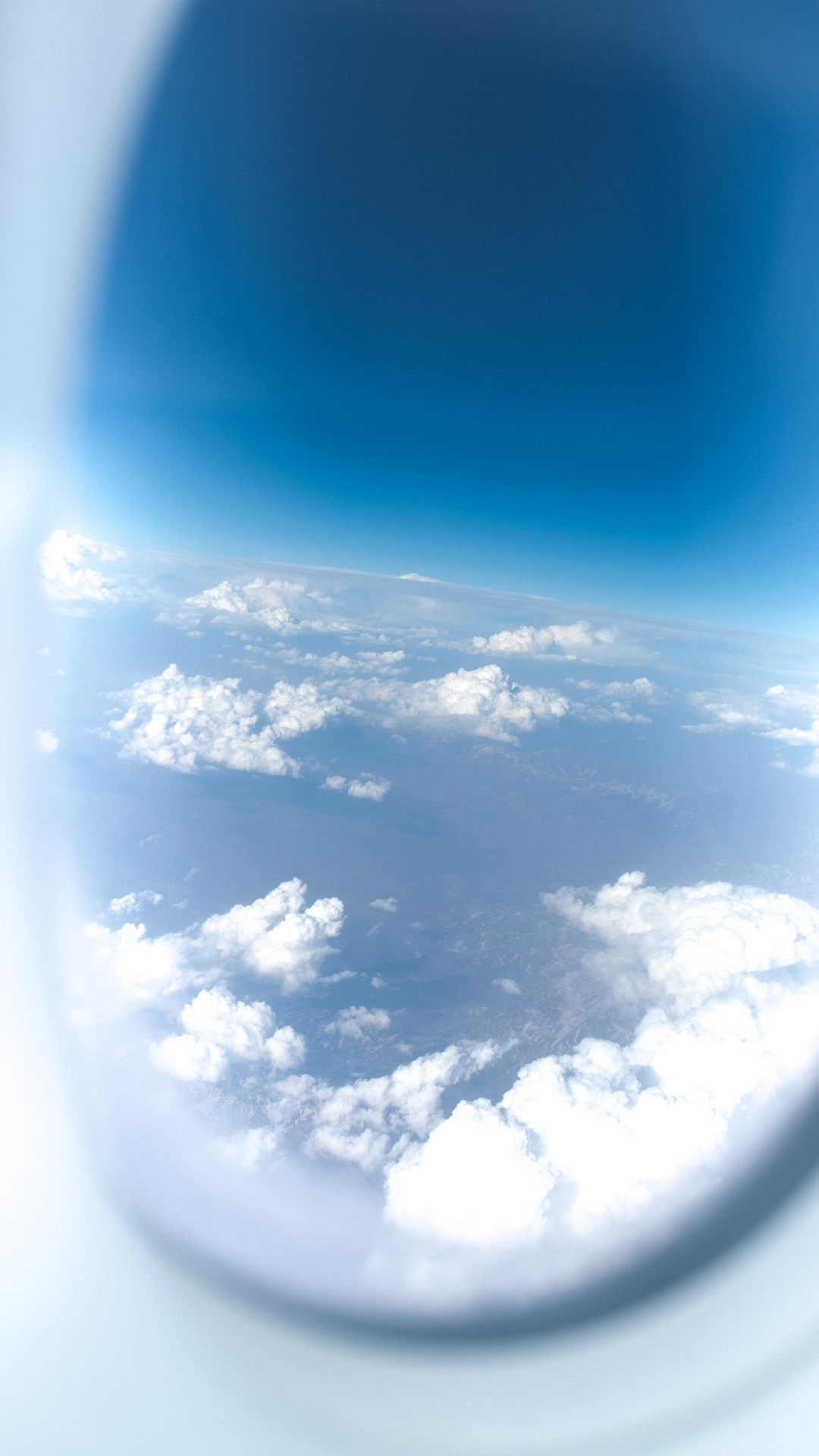 IMG_2420.PNG
