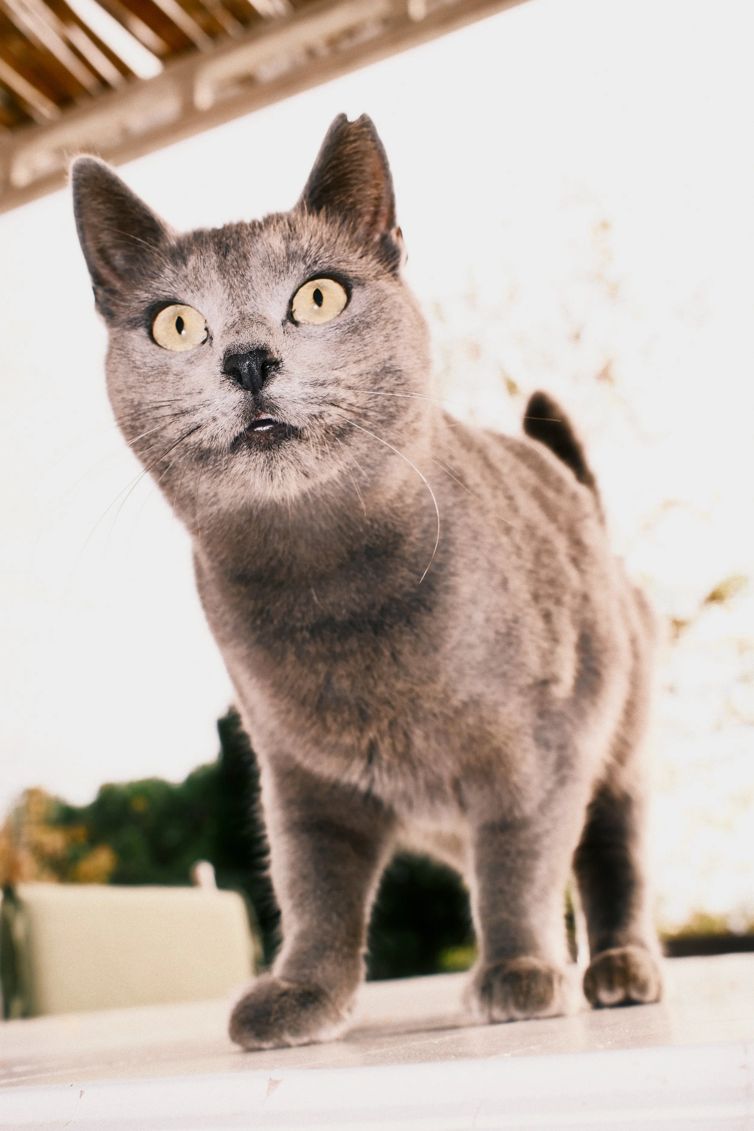 DSCF9311.jpg