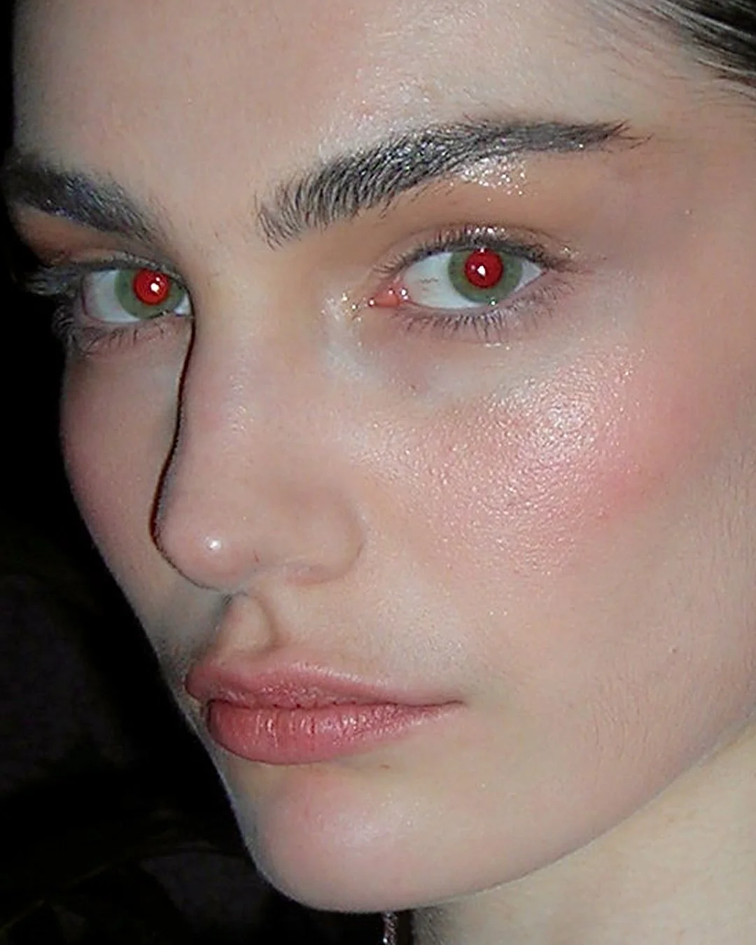 DSCN1567.jpg