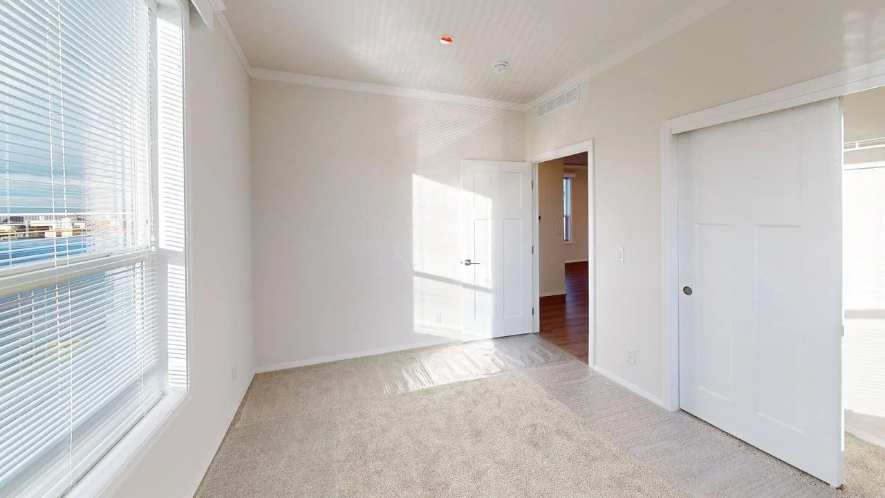 Empty bedroom with large window with blinds, beige carpet, and sliding closet doors.