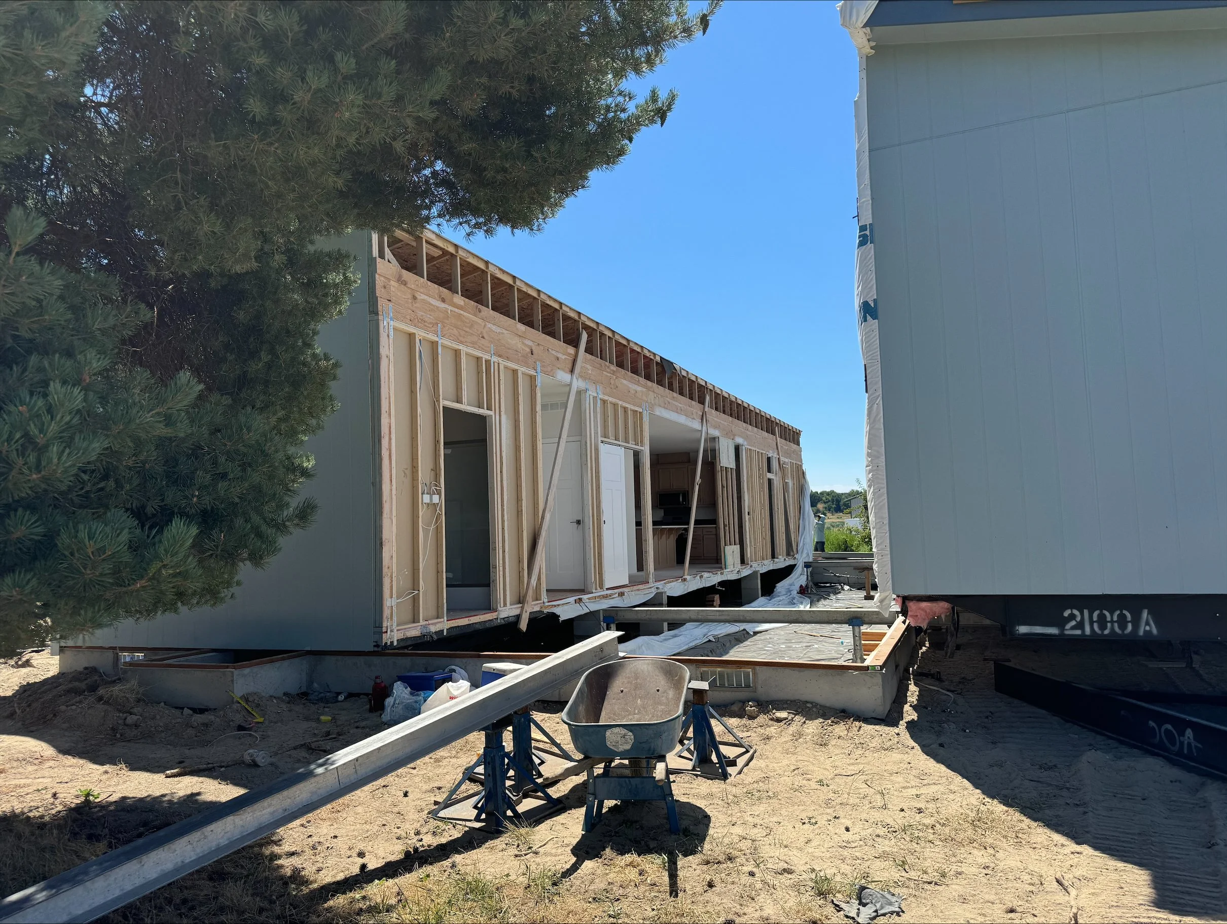 Under construction tiny house with exposed wooden framing, partially built walls, and construction materials on dirt ground, next to a large tree and another mobile structure on a clear, sunny day.