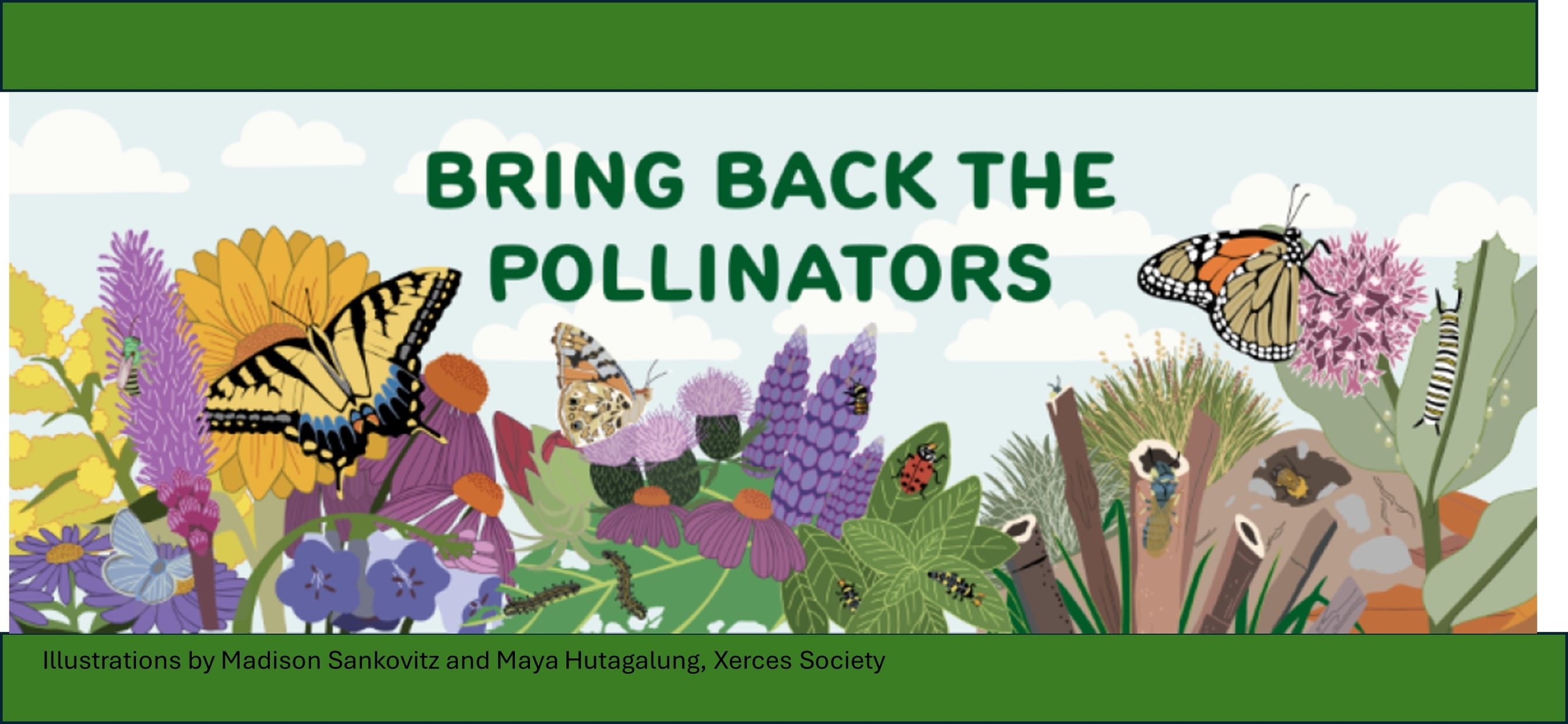 Bring Back the Pollinators - Bee City Seminar