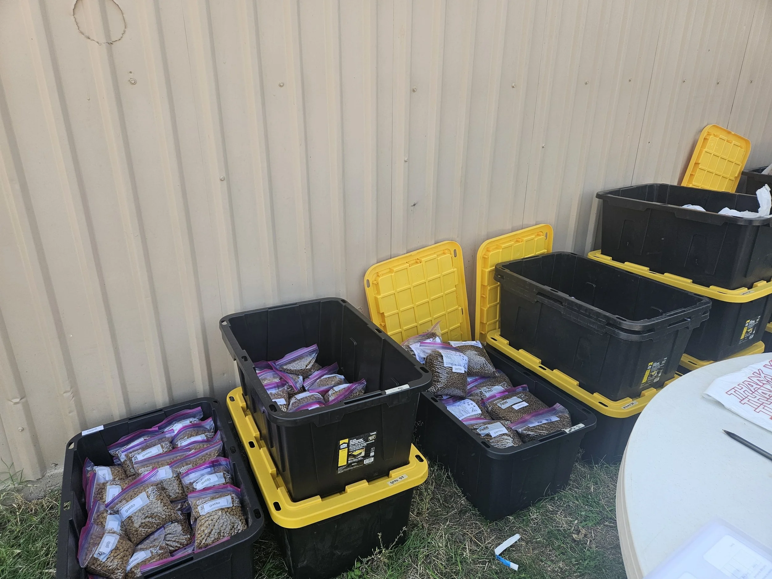 Black storage bins with yellow lids, some filled with sealed plastic bags of food, against a beige metal wall.