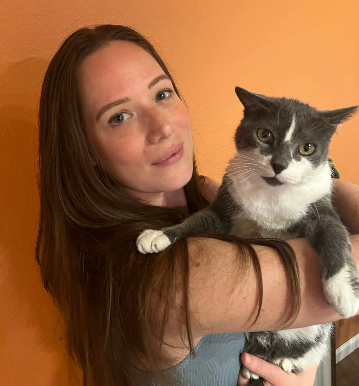 Person holding a gray and white cat with an orange wall in the background.