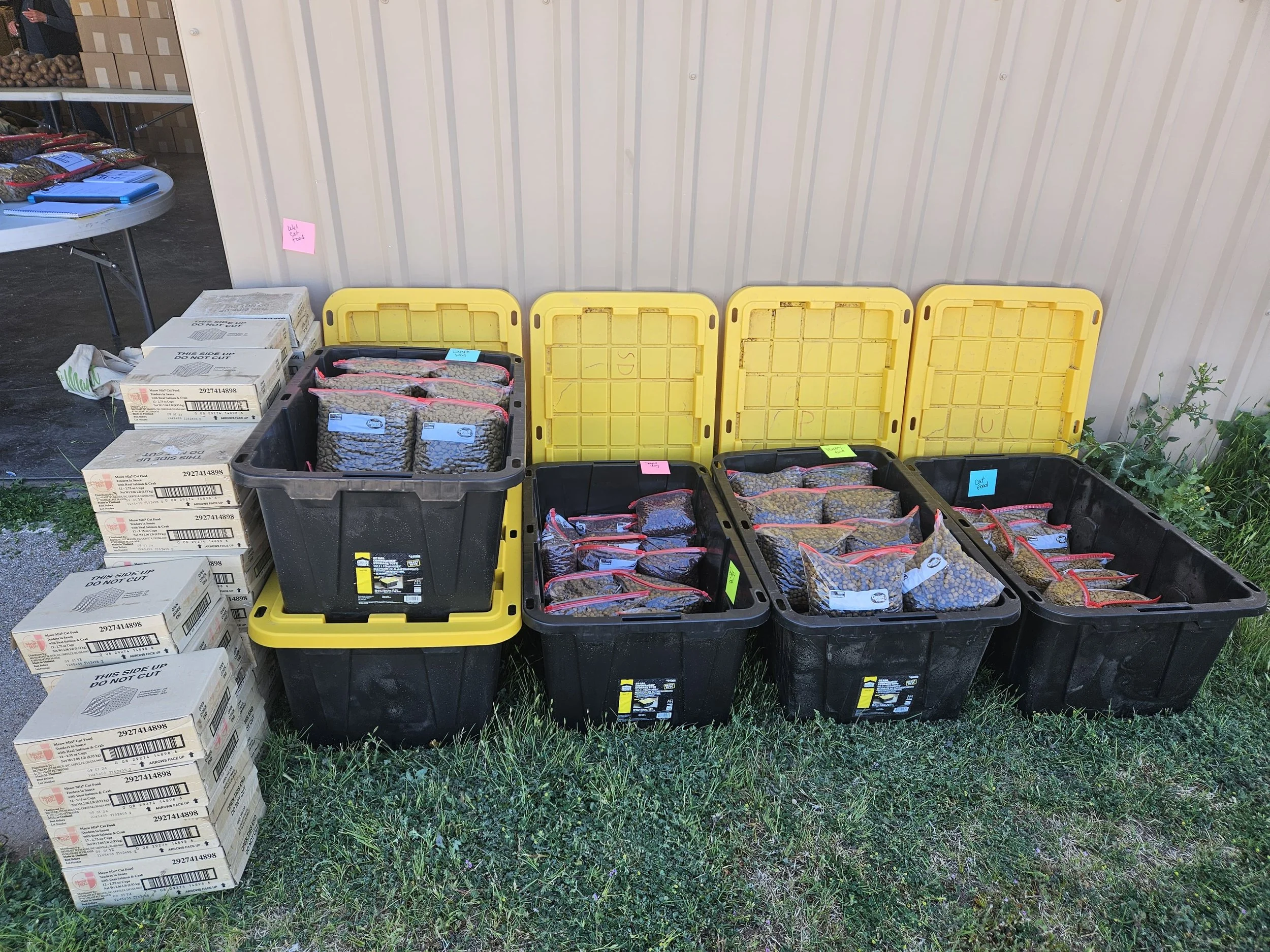 Black storage bins with yellow lids containing packaged beans, stacked cardboard boxes labeled "dry beans," and a table with more packages in an outdoor setting.