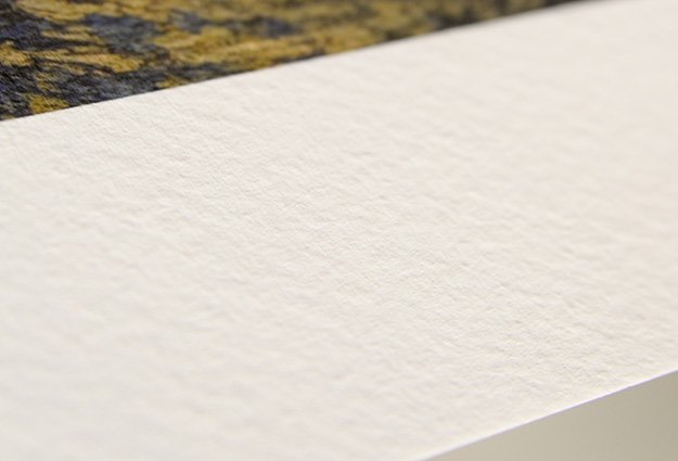 Palo Duro Etching Paper.jpg