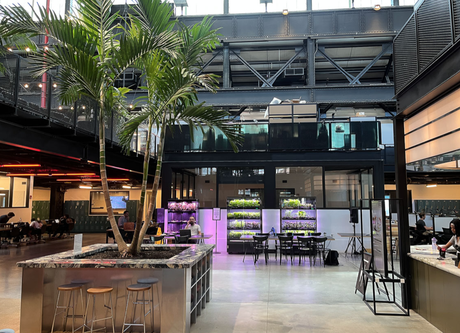 Screen Shot 2024-08-02 at 3.05.22 PM.png