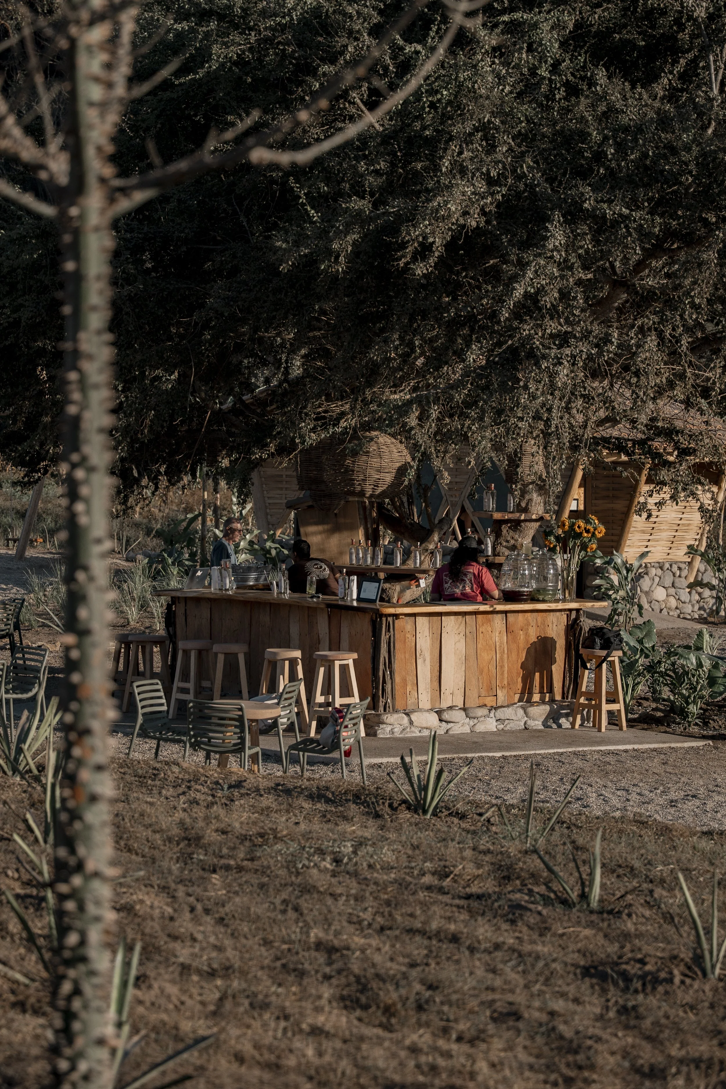 Cachasol Marzo Tour-26.jpg