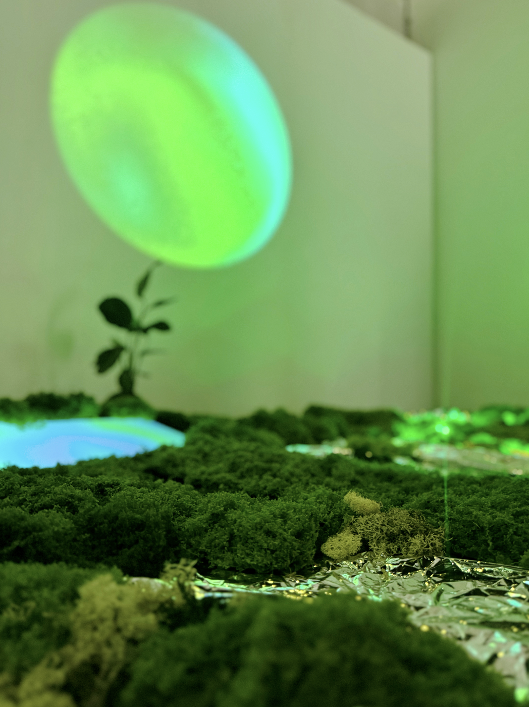 sarabiotic-lastcrit-barcelona-exhibition-01.png