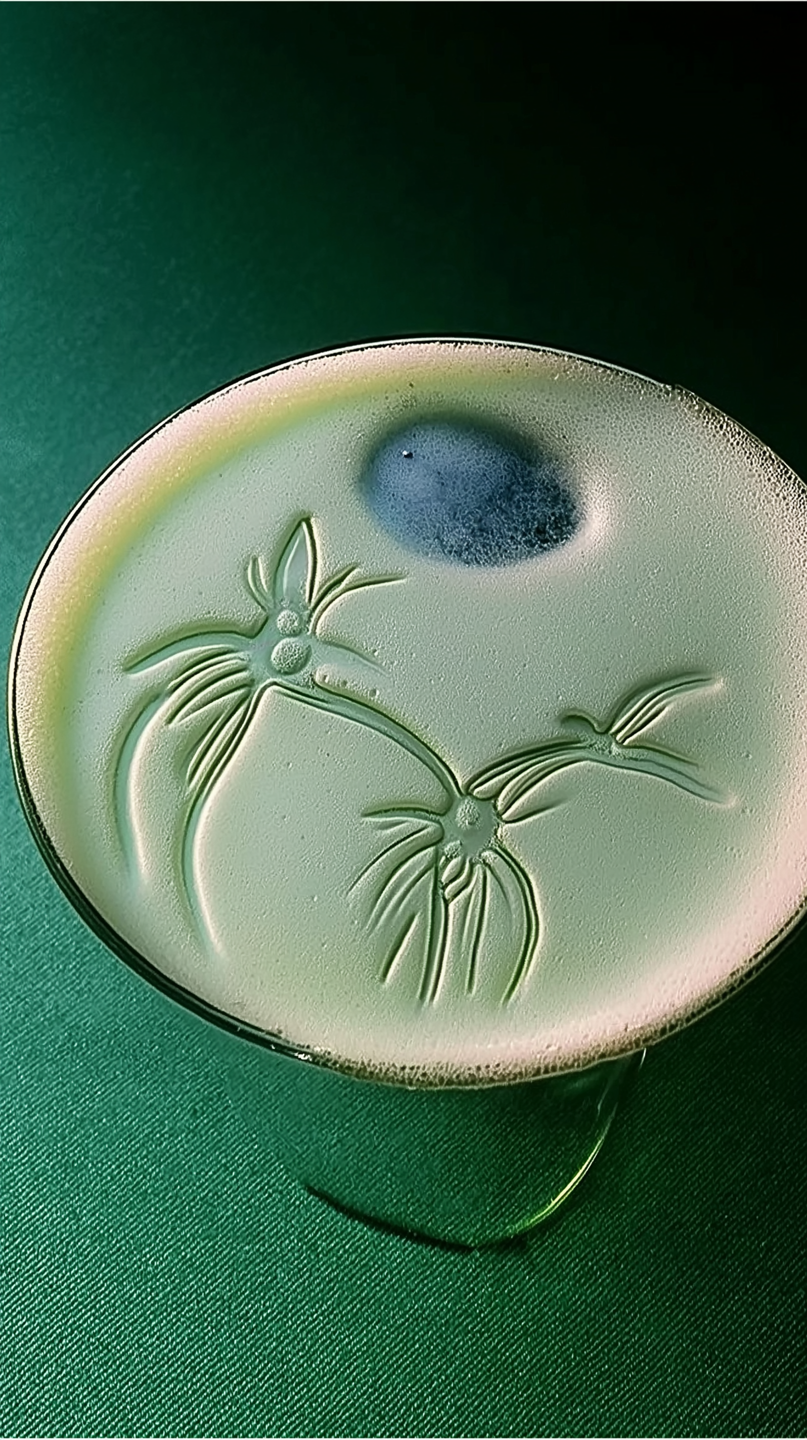 minimalist_future_drink_embossed_surface_design_sarabiotic.png