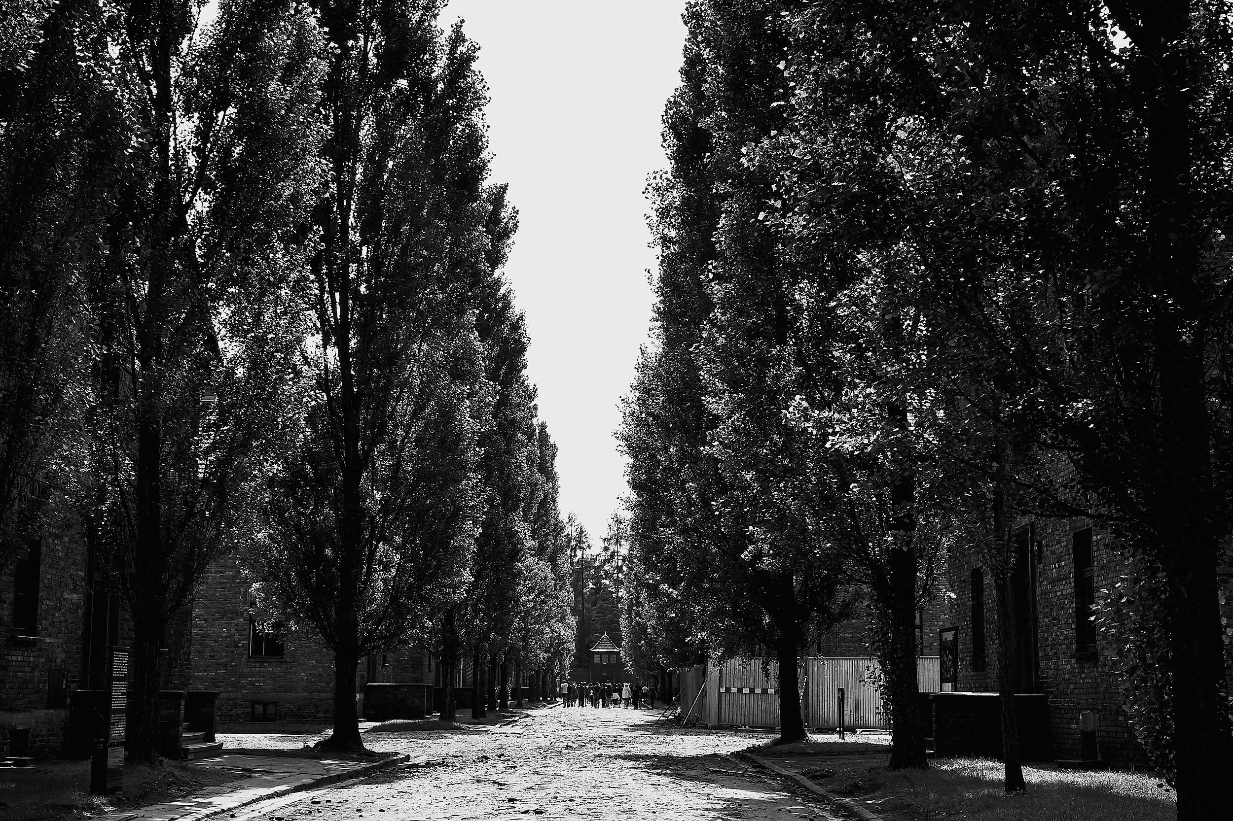 002-Auschwitz-documentary-culture-narrative-photography.jpg