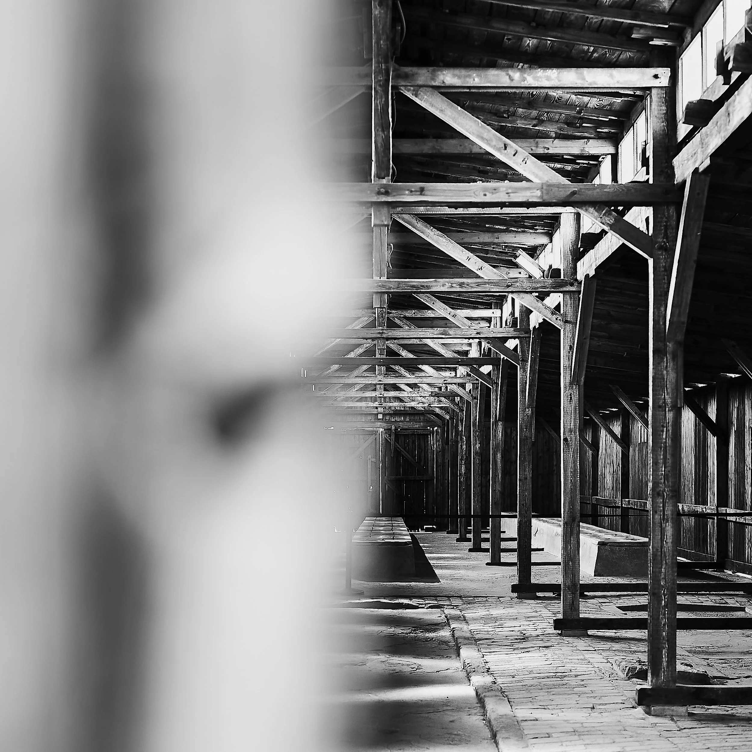 Honoring resilience through Auschwitz’s evocative imagery.