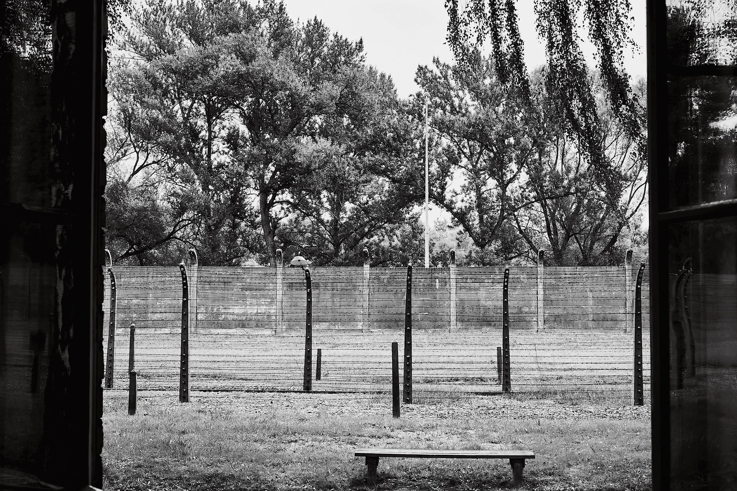 Barbed wires marking Auschwitz's boundary.