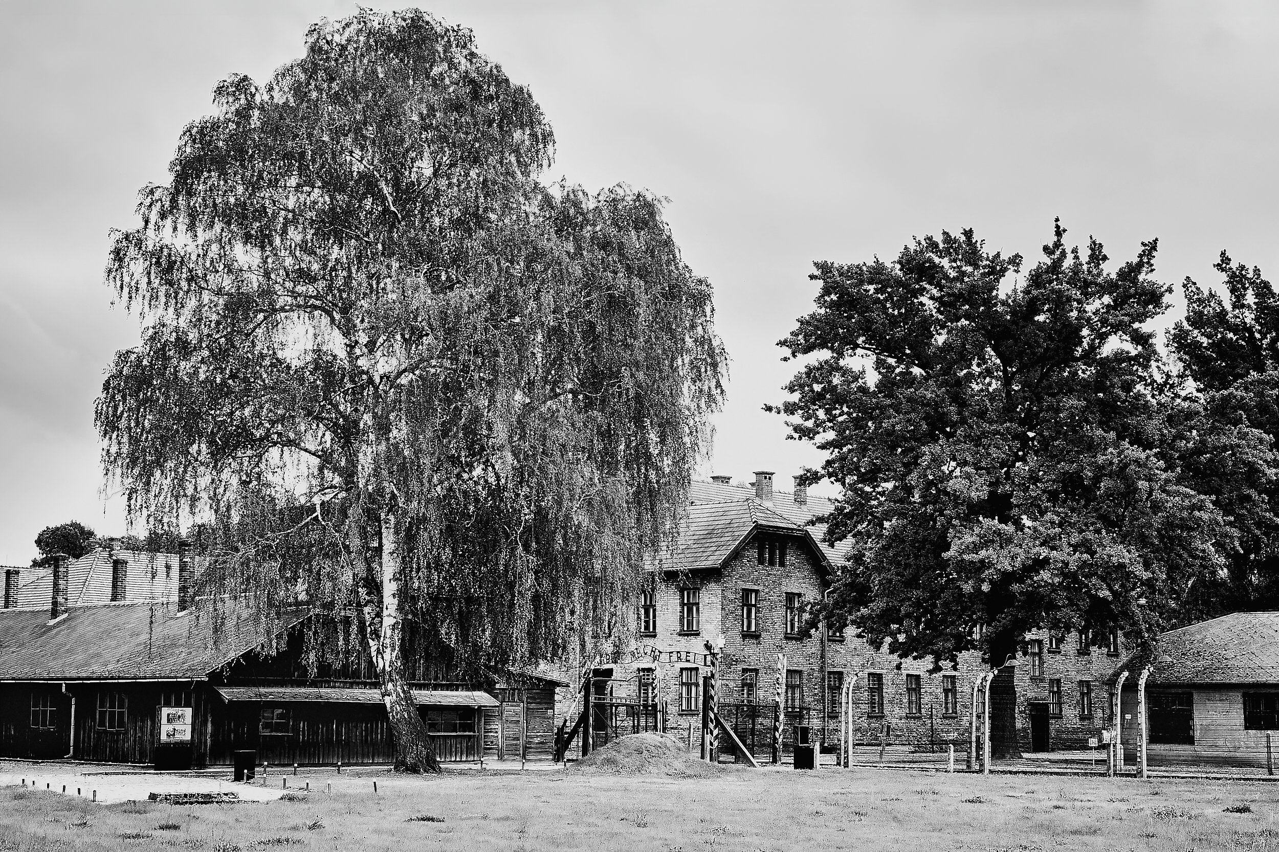 Iconic entrance of Auschwitz, a symbol of remembrance.