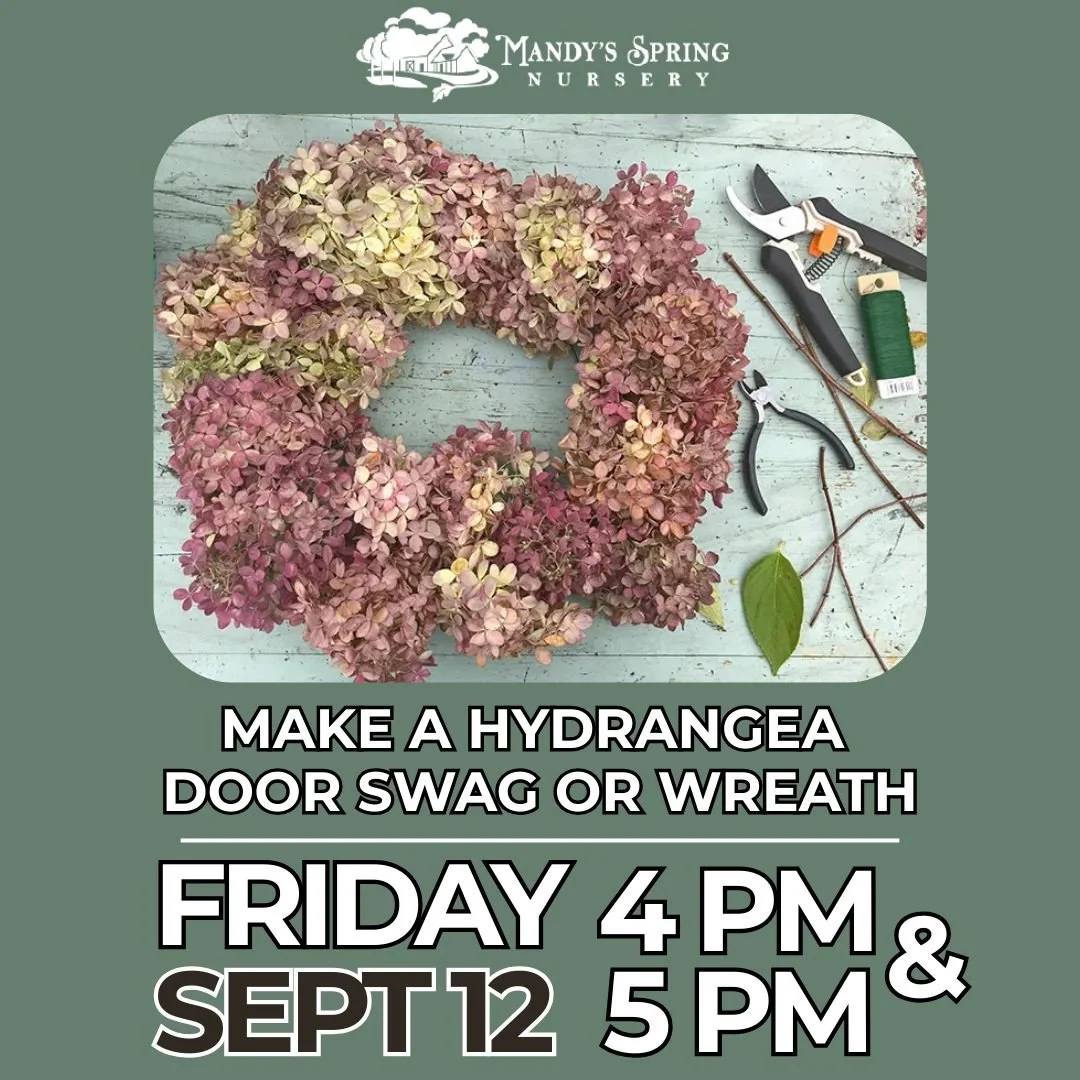 Make a Hydrangea Wreath