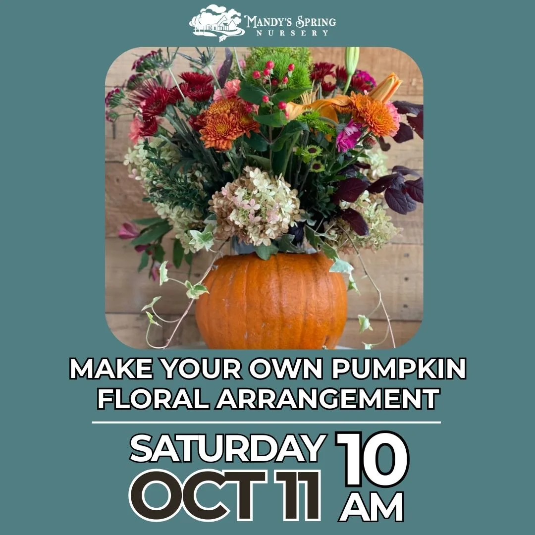 Make Your Own Pumpkin Flower Arrangement