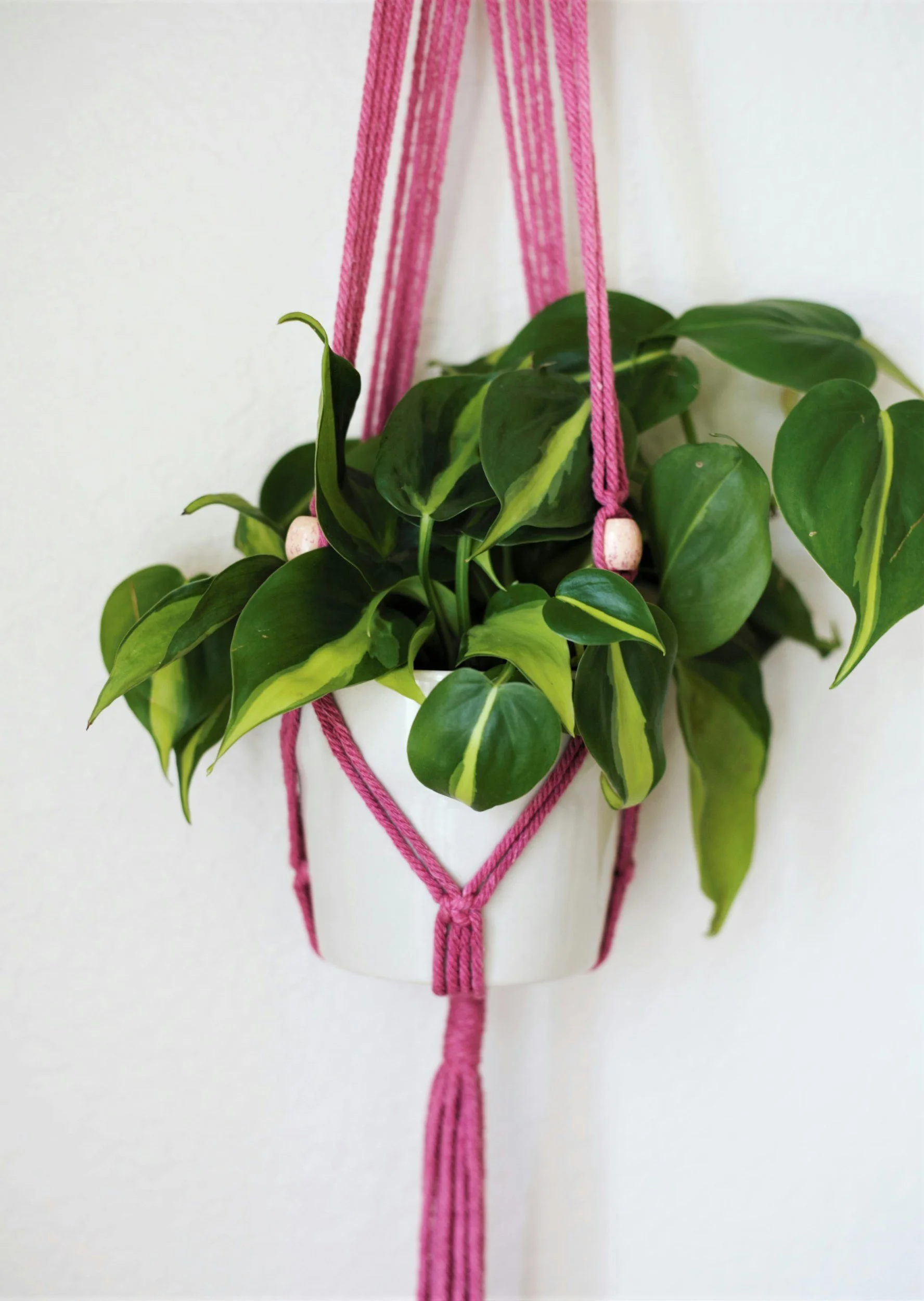 Moms & Macrame Workshop