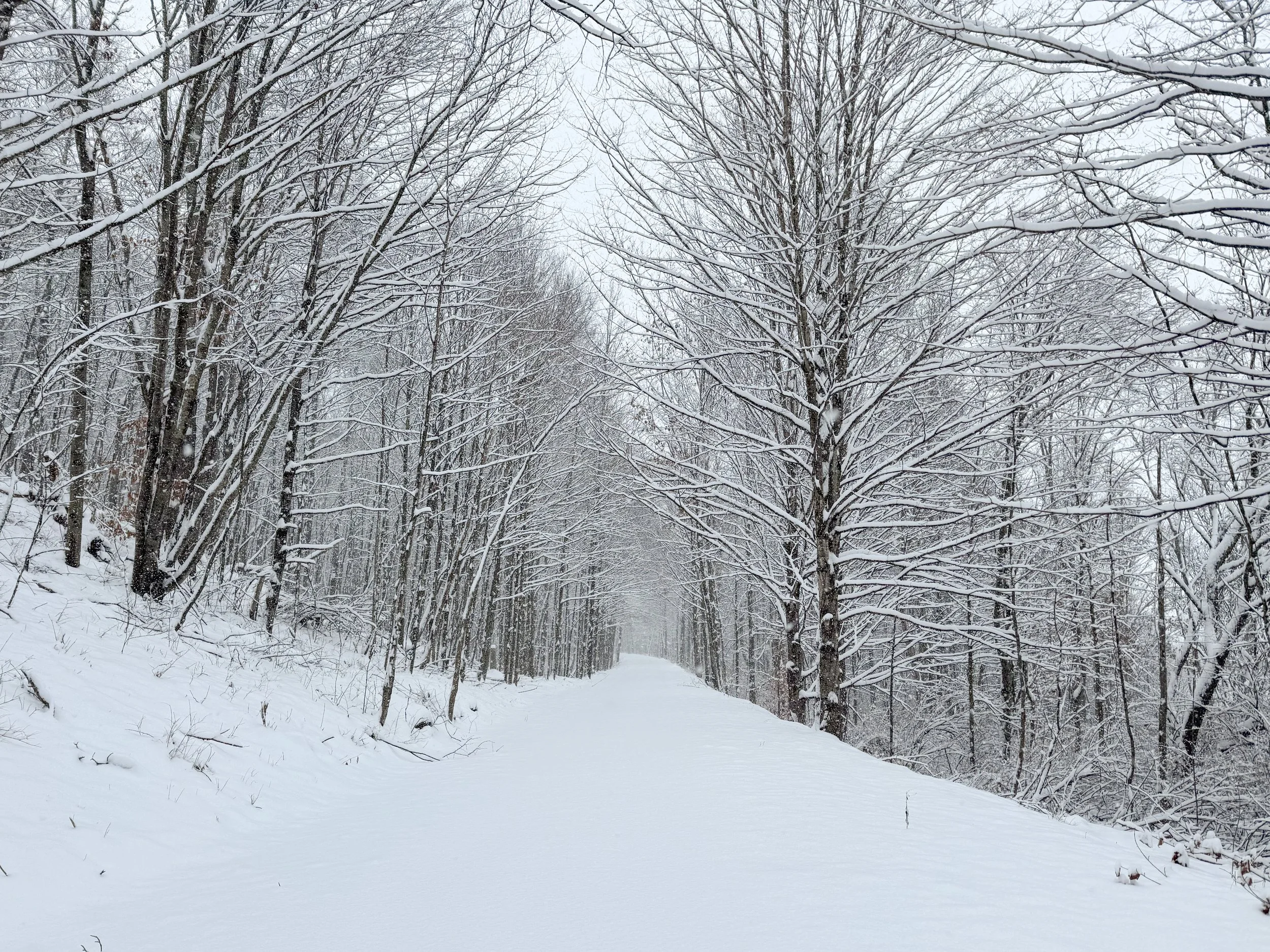 Weather for Granville New York A Guide to the Citys Climate