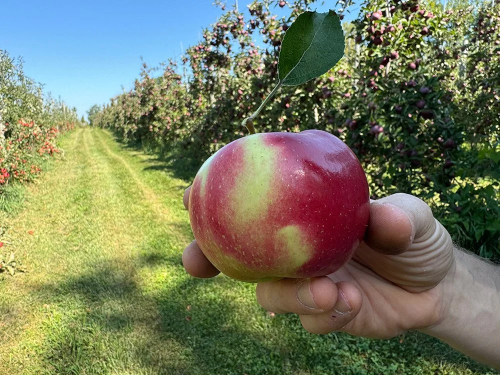 Farmer’s Markets, Pick-Your-Own, & Farm Stands Near Granville, New York