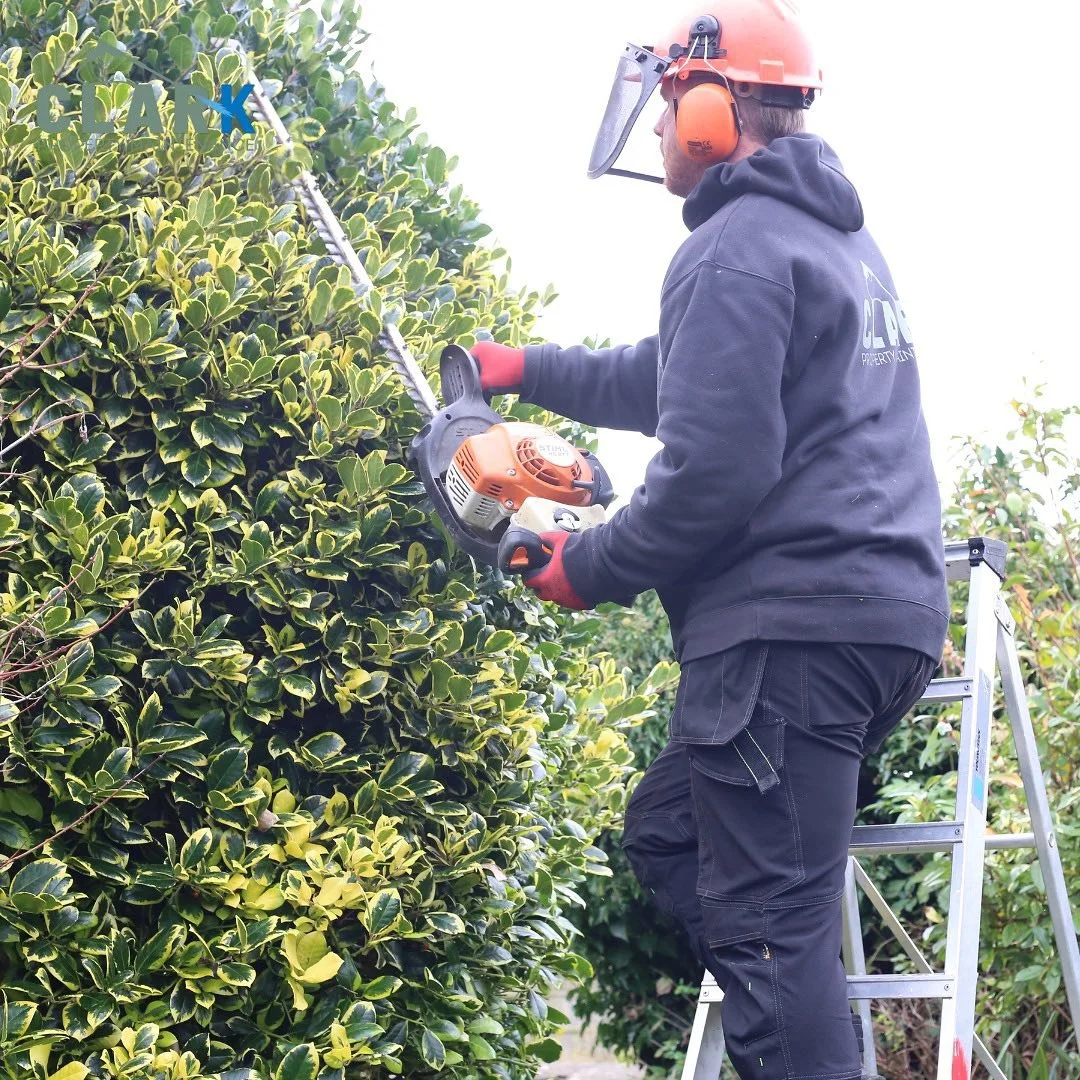 Another job ticked off by us and Cotswold Development Network. 
A general garden tidy up, hedge trimming and shaping up for one of our regular clients. 
We are here to help with all your garden service needs! From tidy-ups to general maintenance.