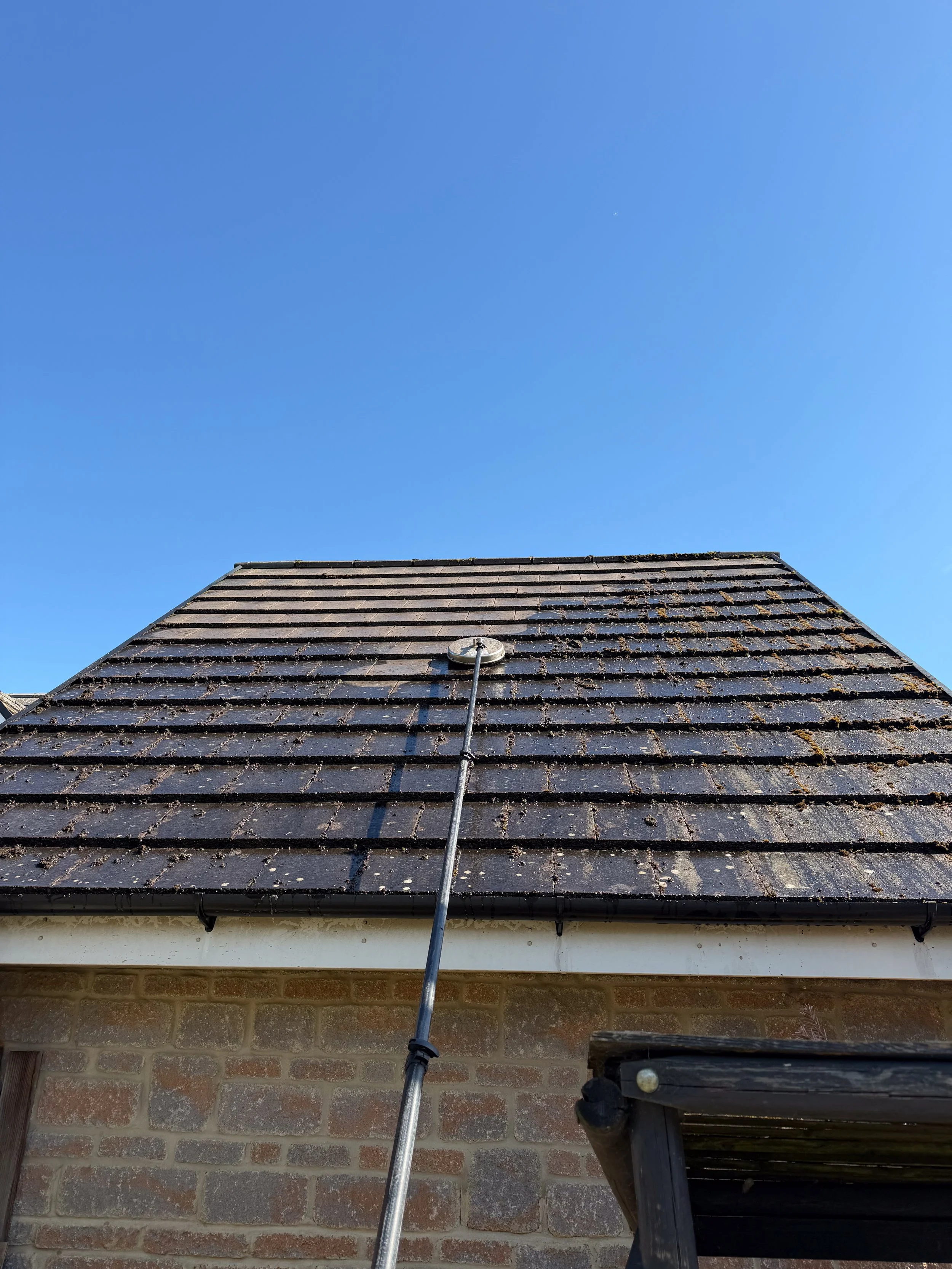 cpm_17.Roof cleaning.jpg