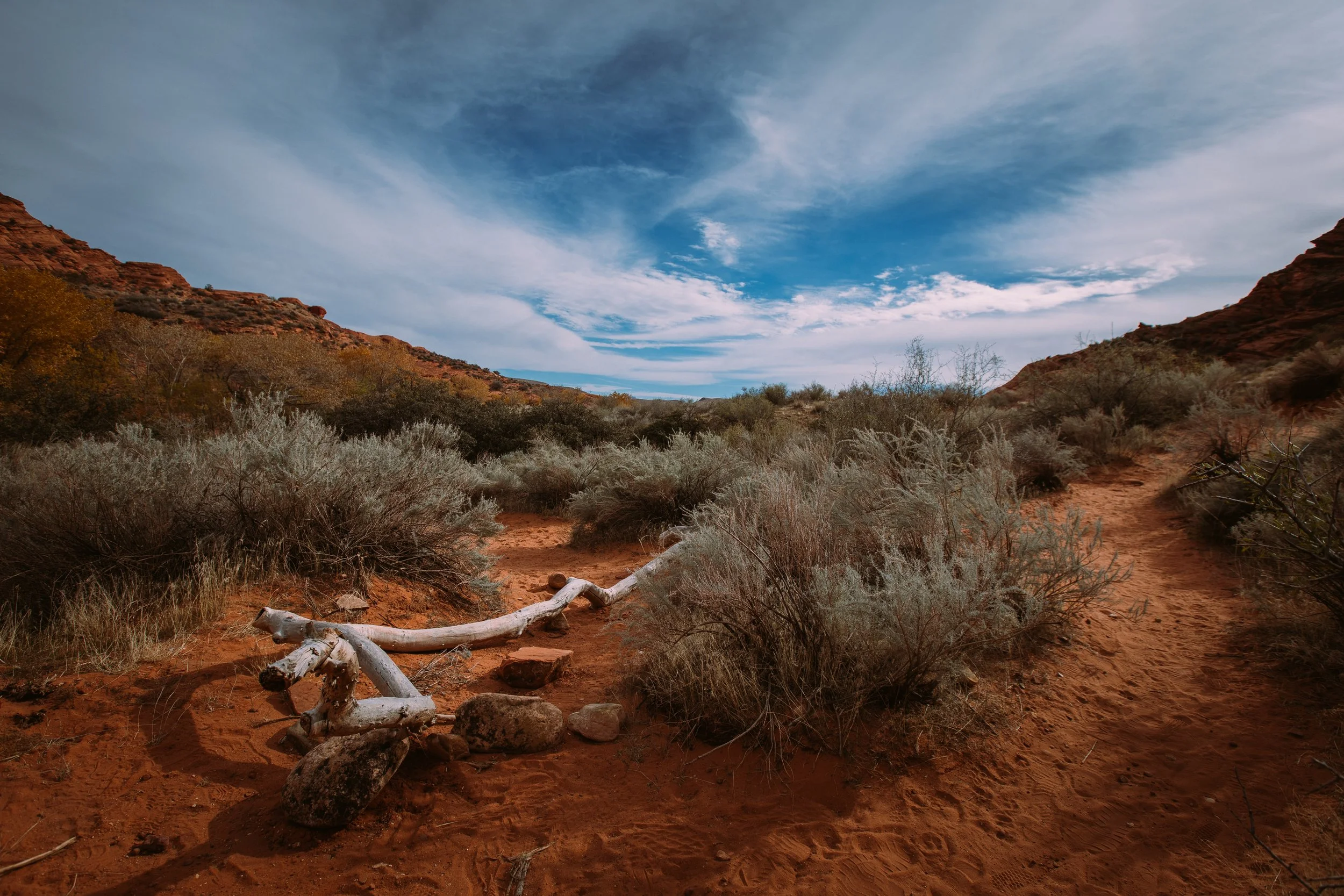 Arid desert landscape with red sand, sparse desert shrubs, dry logs, and rugged hills under a partly cloudy sky.