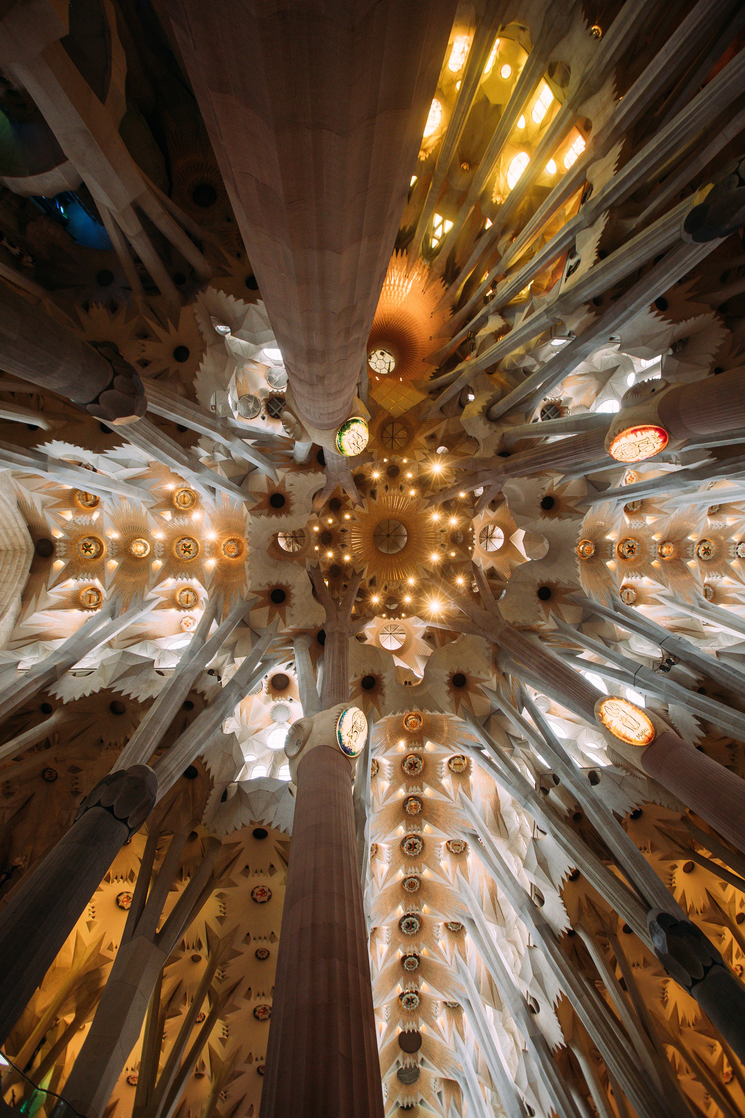 Inside the ceiling of a cathedral with tall, white, intricately designed columns and elaborate ceiling decorations, illuminated by warm lights.