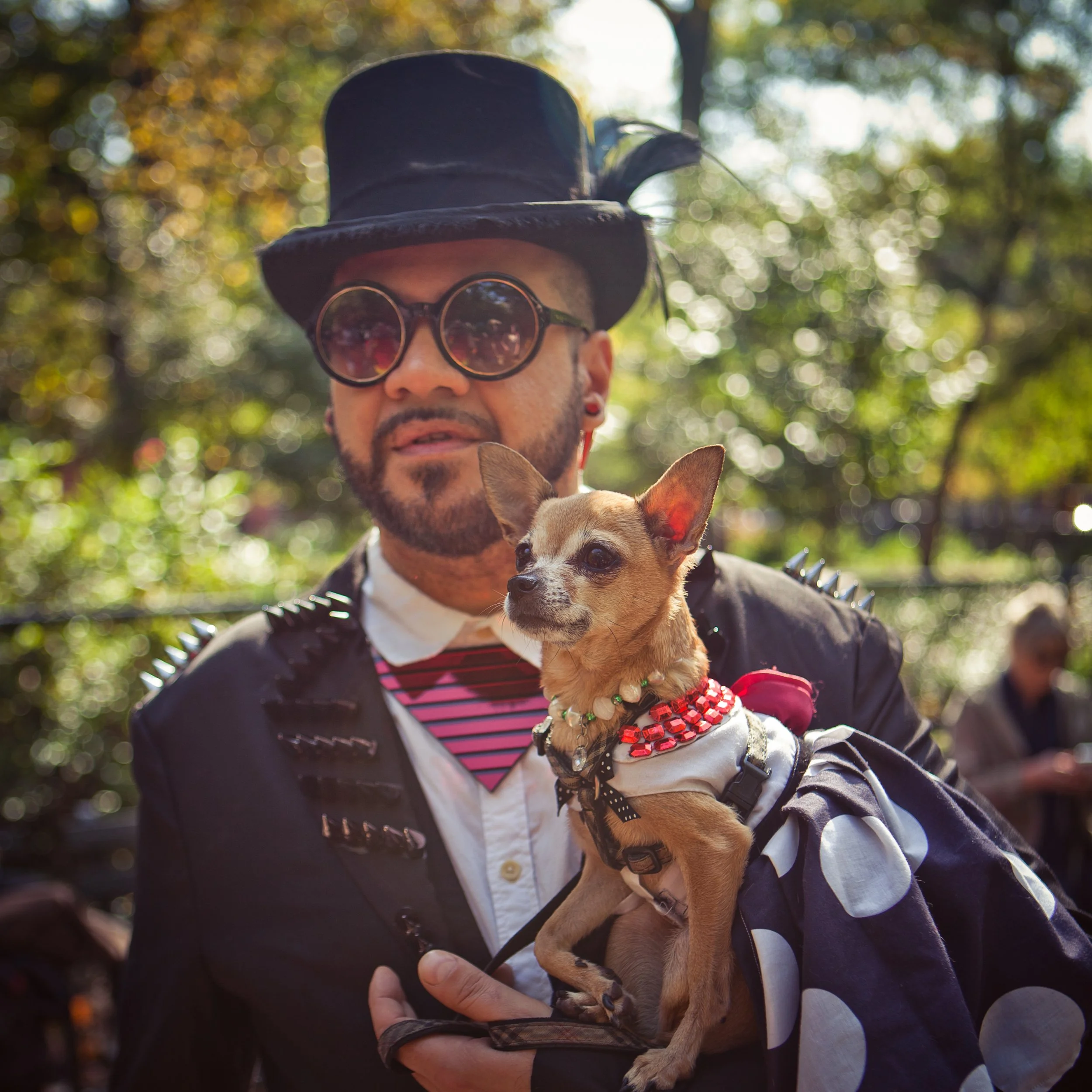 A person wearing a black top hat, round sunglasses, and spiked clothing is holding a small tan dog with a black nose and big eyes. The person is outdoors with blurred autumn-colored foliage in the background.