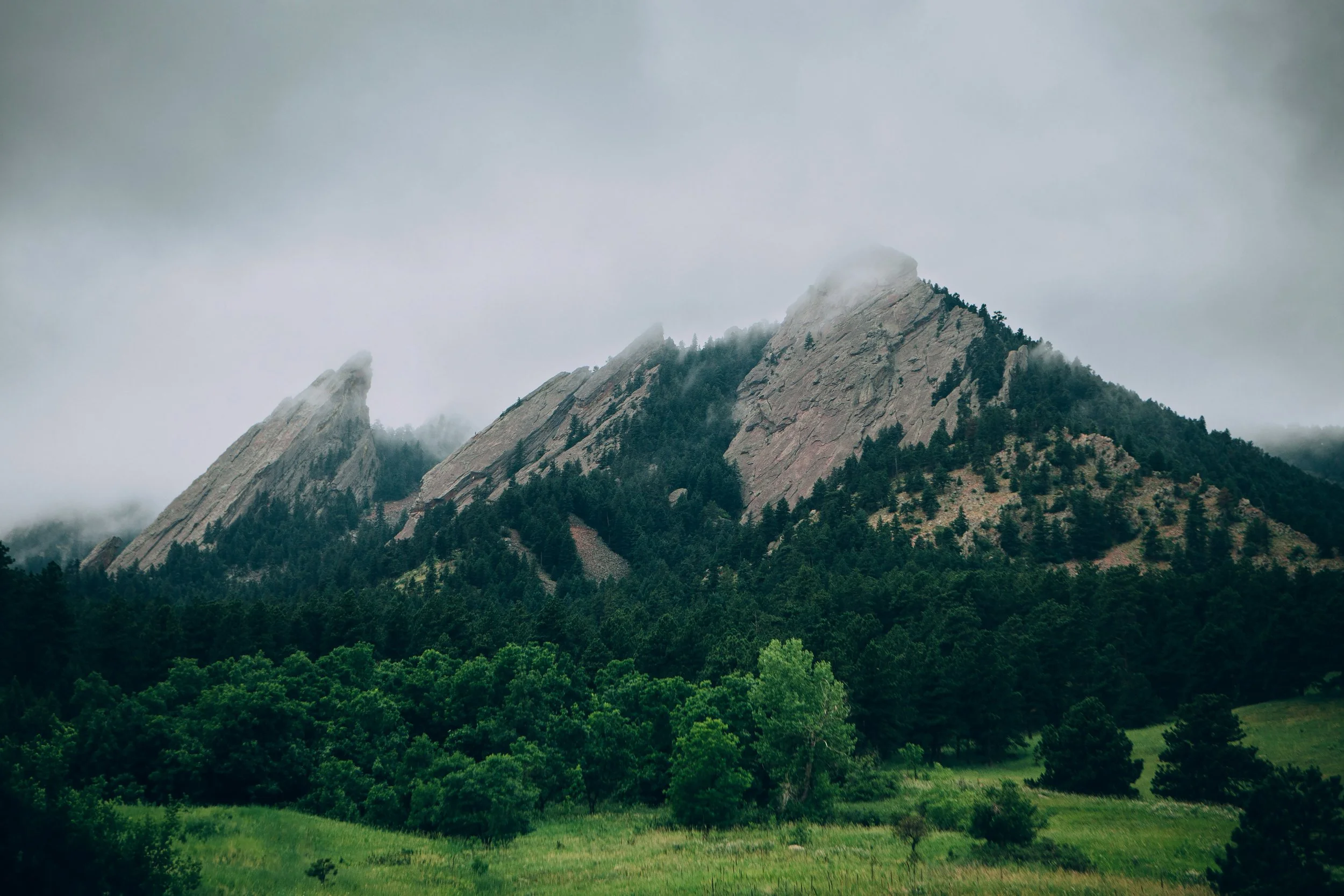 Mountain peaks shrouded in mist behind a green forest and grassy meadow.