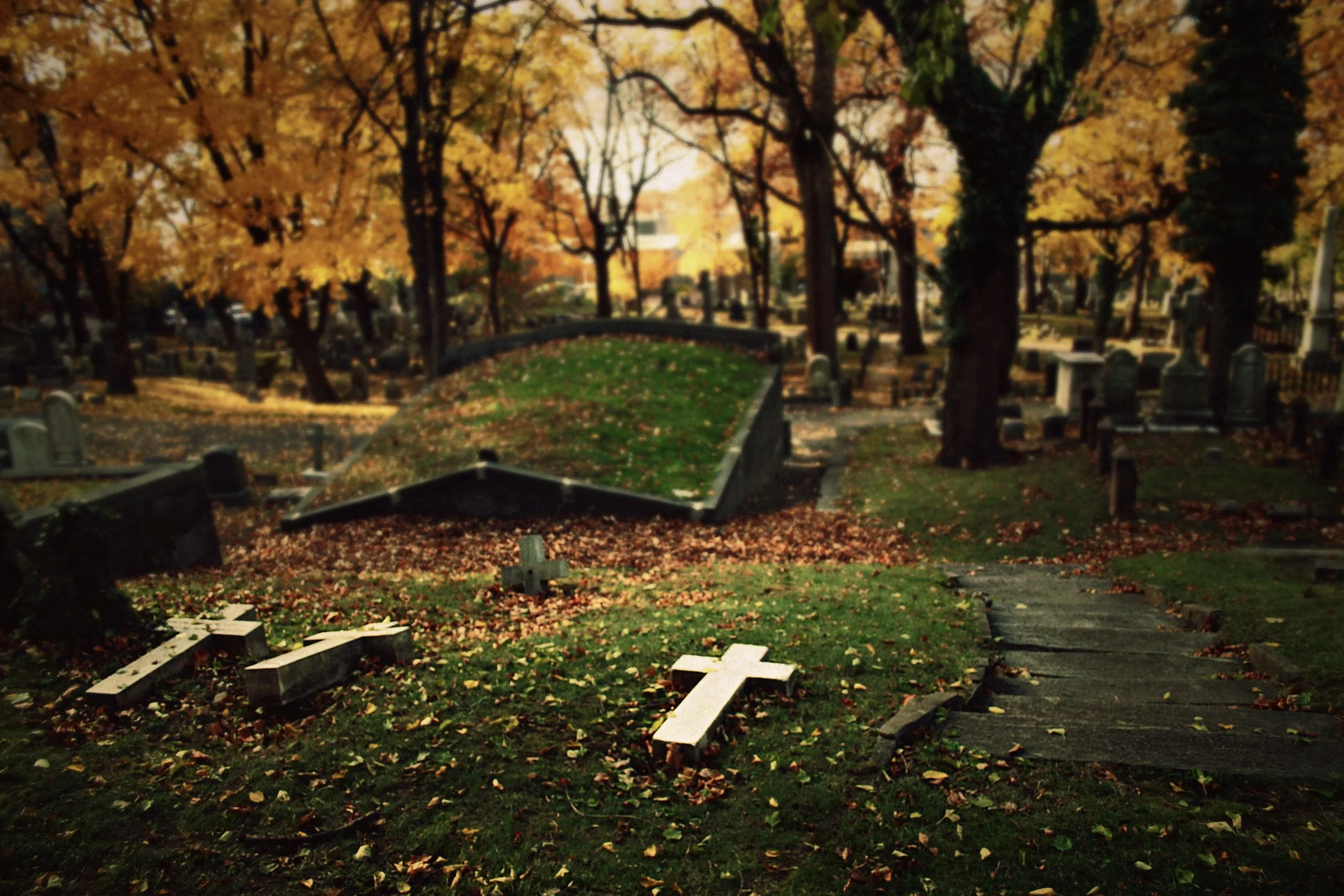 A cemetery scene in autumn with fallen leaves and some grave markers, trees with orange and yellow foliage, overcast sky, and a small footbridge in the background.