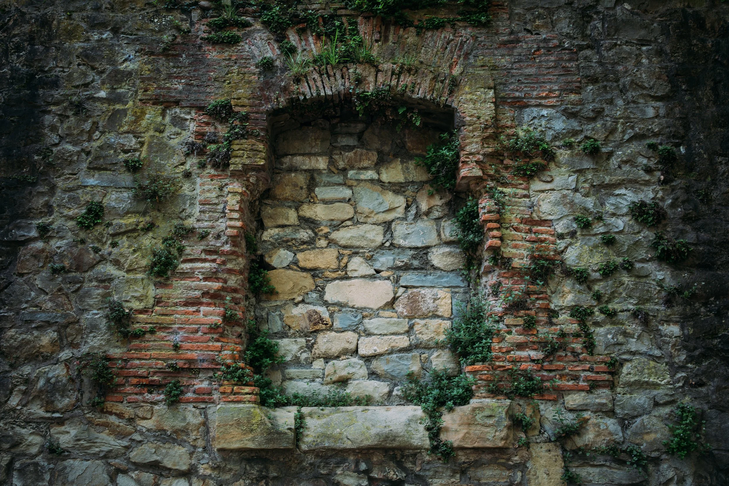 Old stone and brick wall with leafy green plants growing between the stones and bricks.