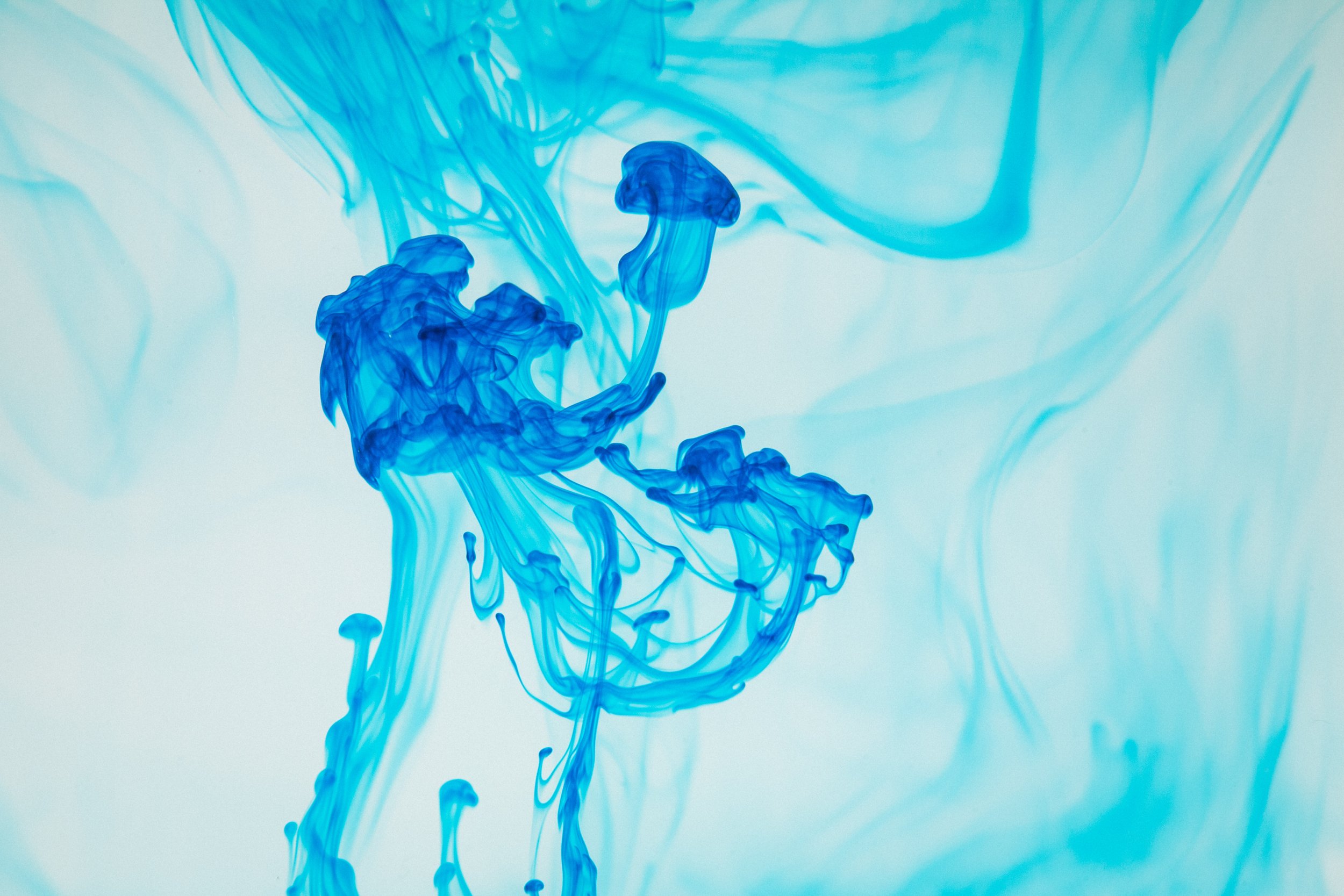 Blue dye diffusing in water creating swirling patterns.