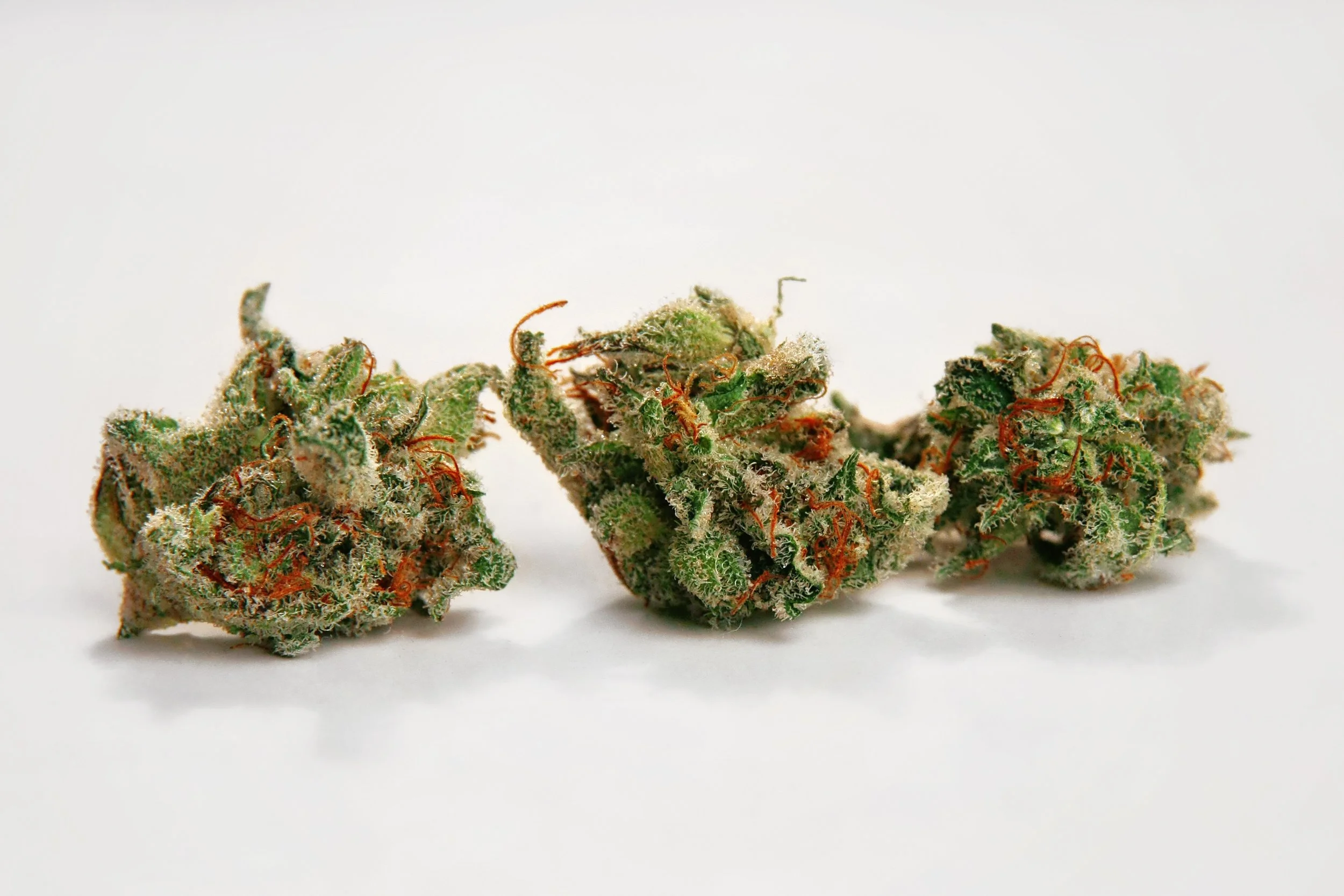 Close-up of two cannabis buds with orange hairs and frosty trichomes on a white background.