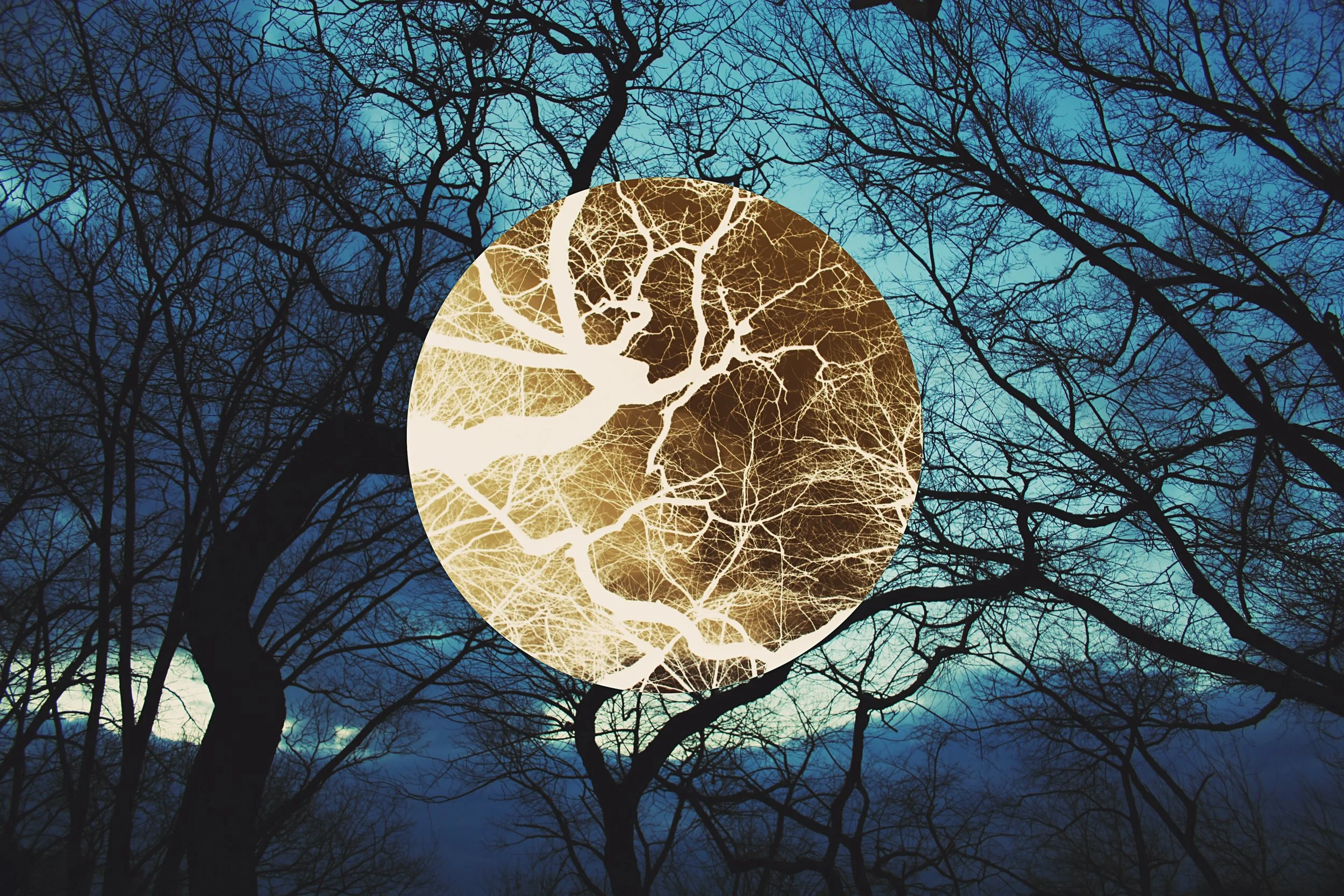 Nighttime scene with bare tree silhouettes against a blue sky, overlaid with a glowing illustration of a human brain and network of nerves.