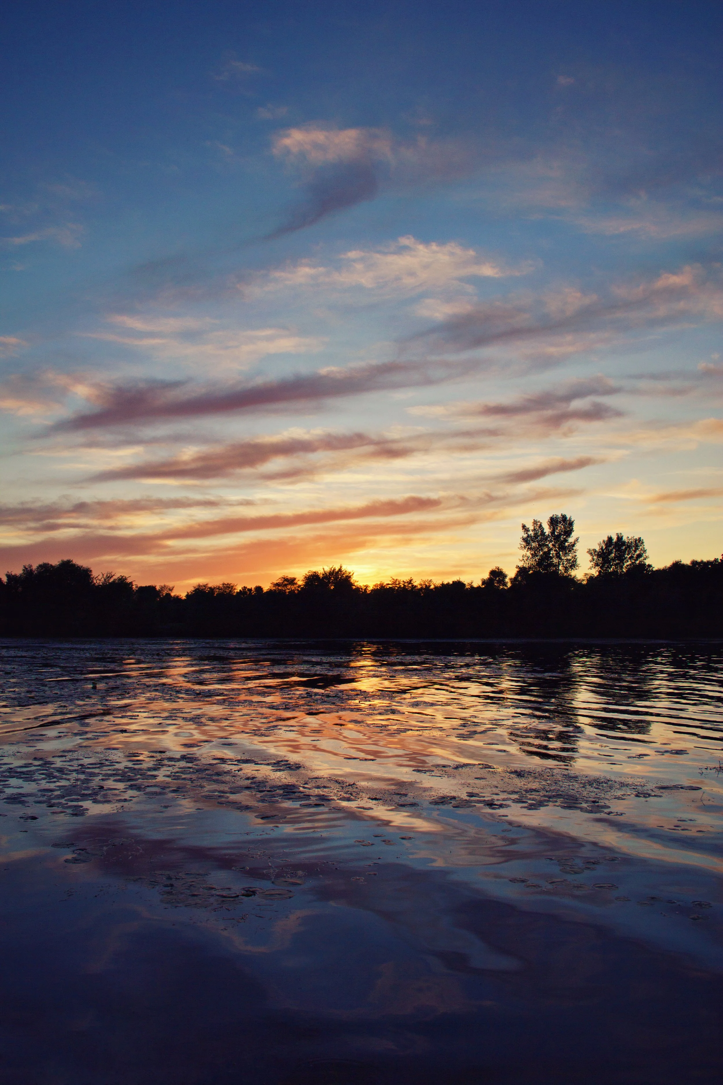 Sunset over a calm body of water with trees silhouetted along the horizon and wispy clouds in a colorful sky.