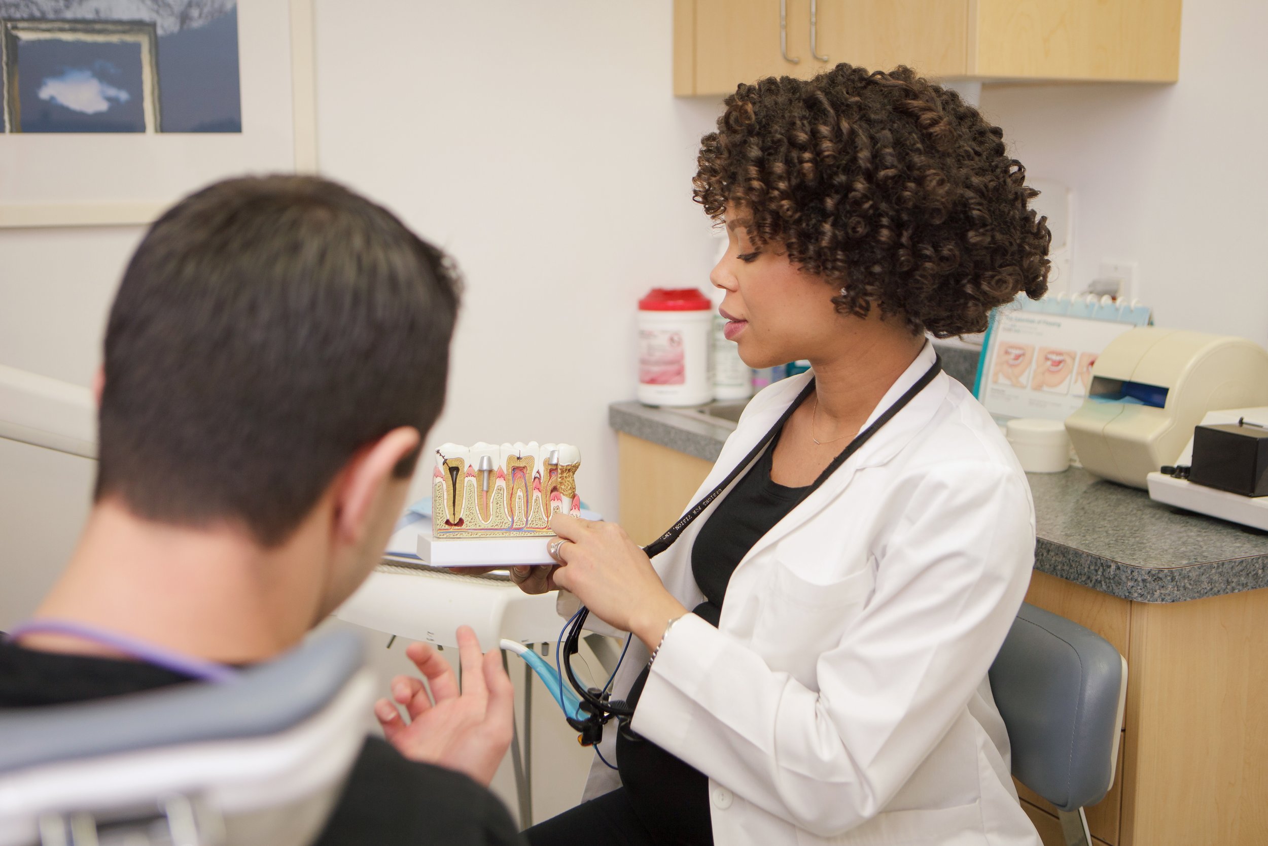 A healthcare worker with curly hair explaining dental anatomy to a patient, holding a model of teeth and gums, in a medical office.