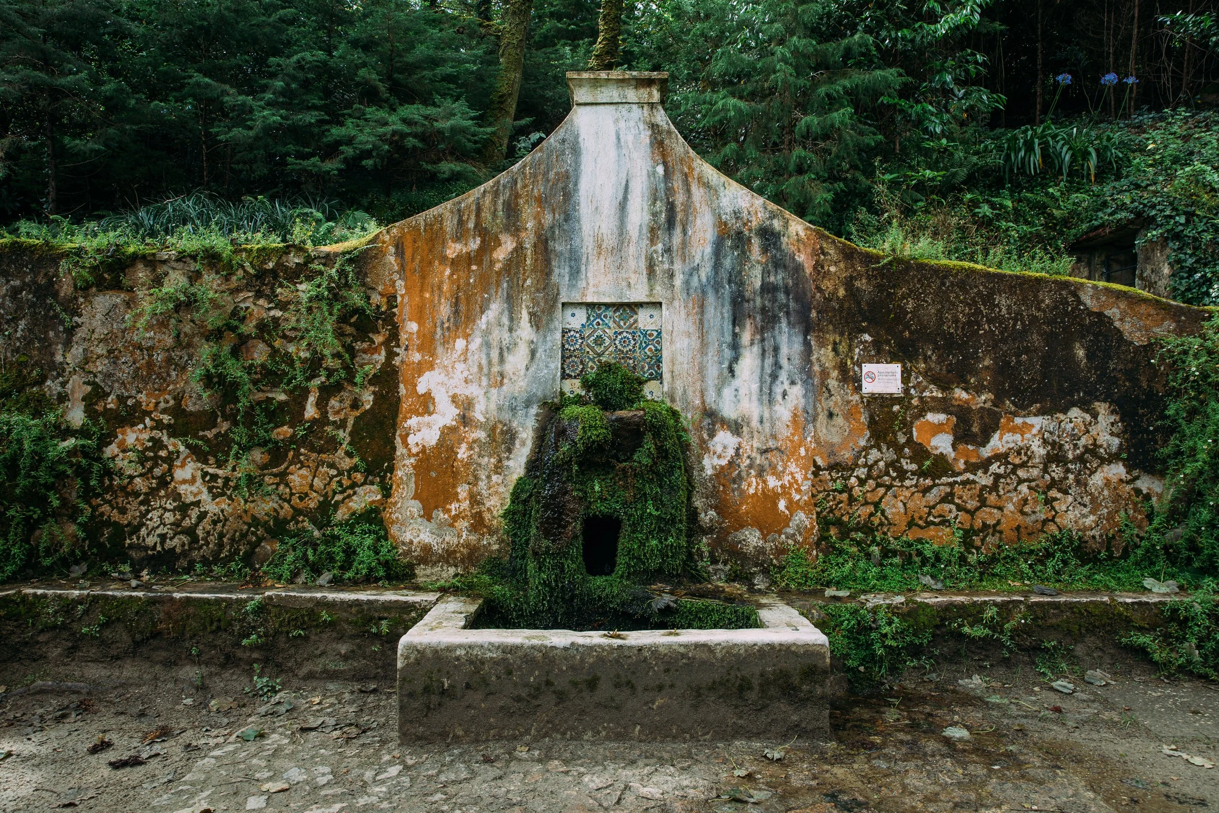 An old, weathered concrete fountain with a small water spout, surrounded by lush greenery and trees in a forest setting. There is a small sign with a no-smoking symbol on the right side of the fountain.