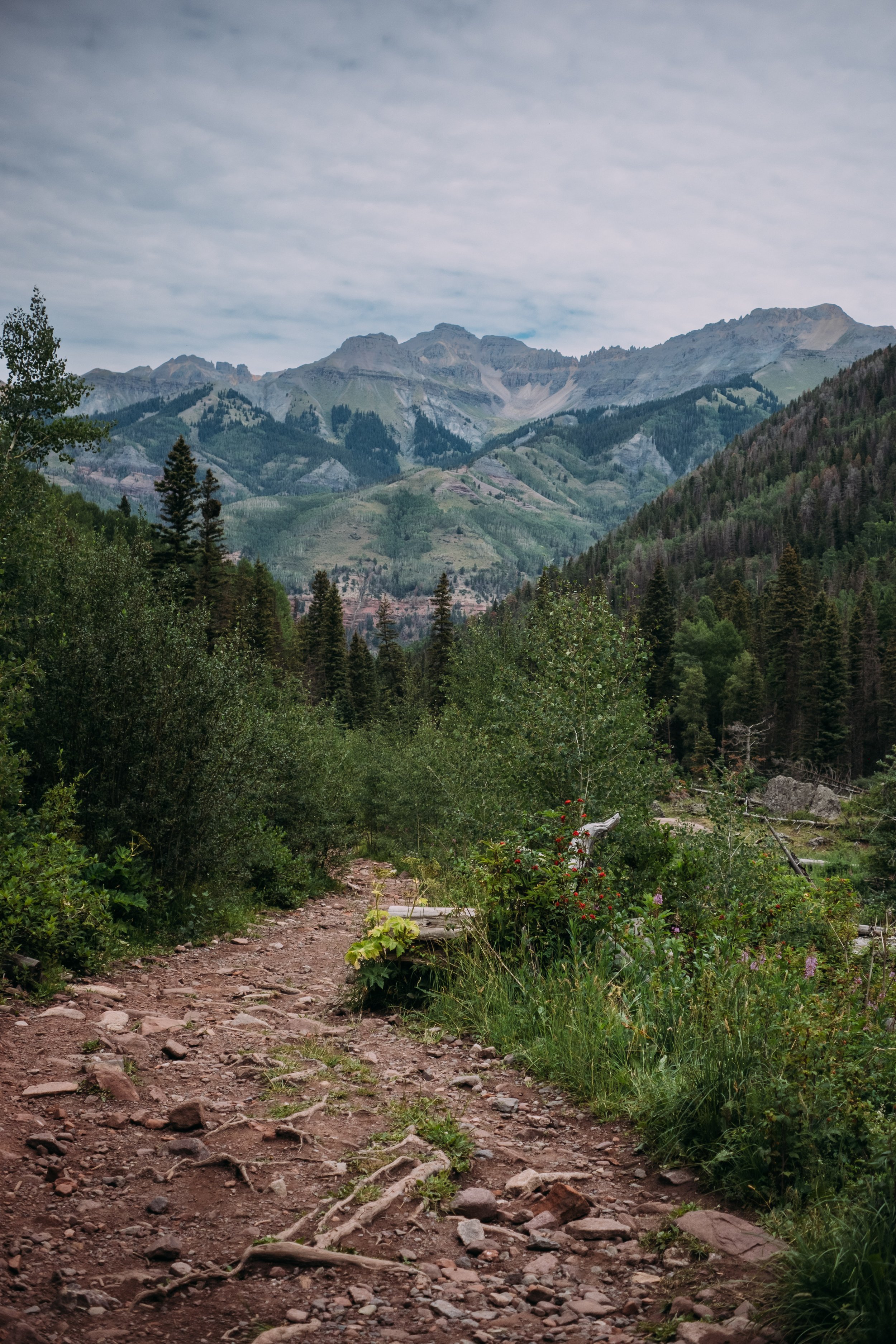 A rugged dirt trail with rocks and roots, surrounded by green shrubs and wildflowers, leading toward lush forests and mountainous terrain under a cloudy sky.