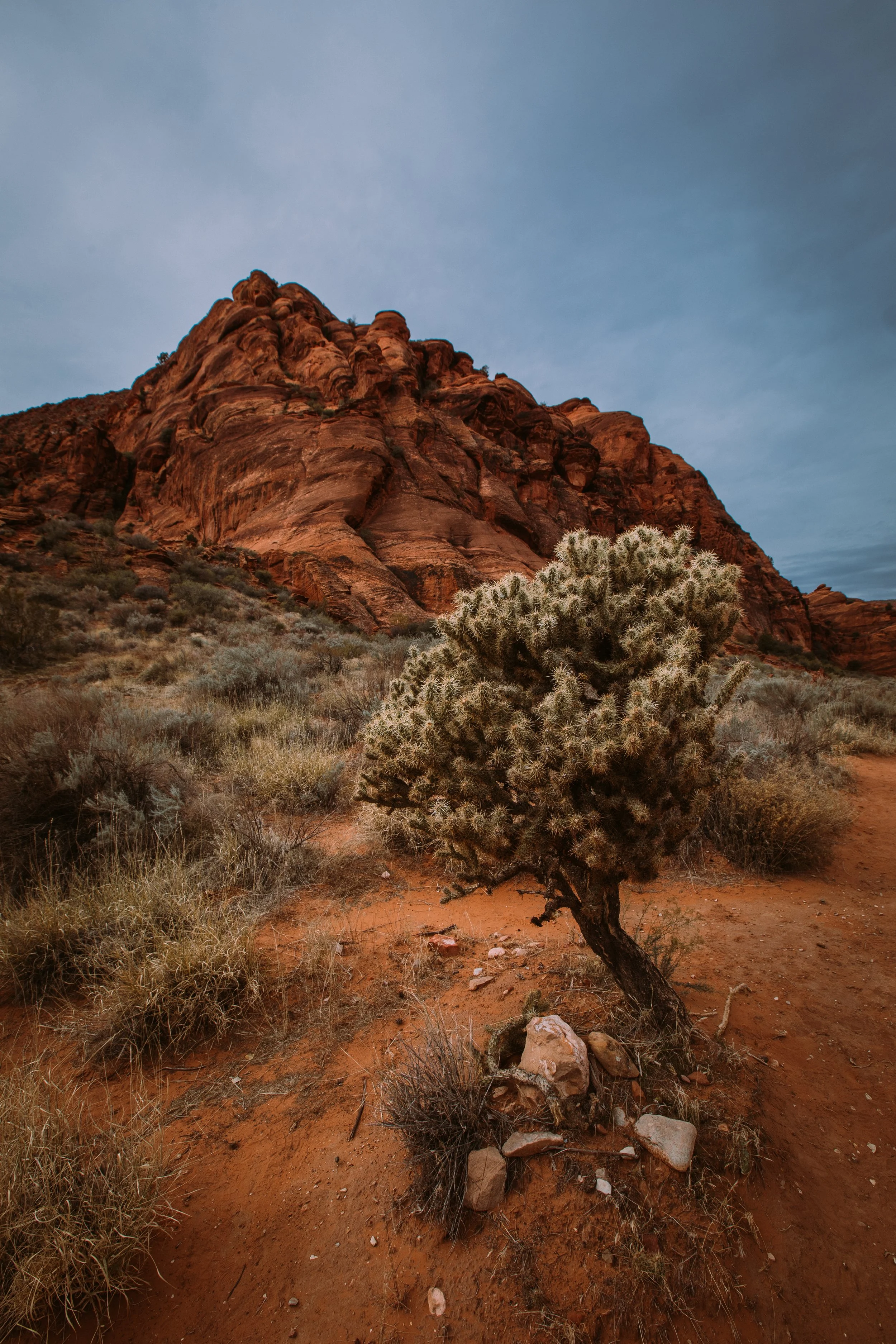 Red rock formation with sparse desert vegetation and a cactus in the foreground under a cloudy sky.