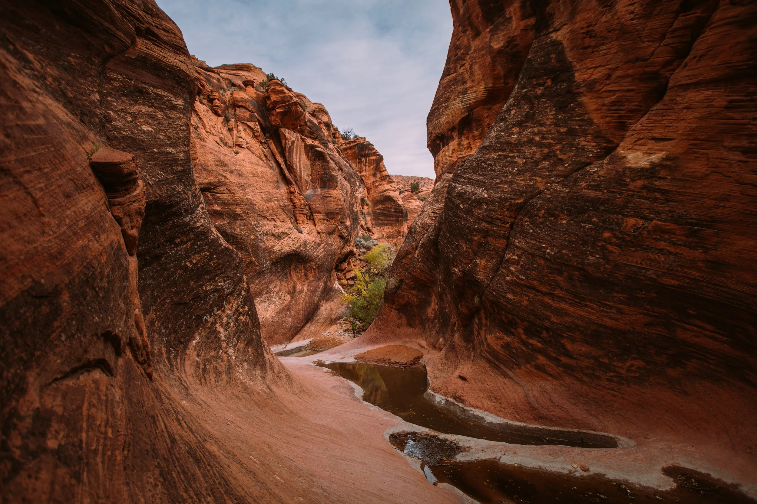 Red sandstone canyon with steep, layered rock walls and a narrow stream at the bottom, under a cloudy sky.