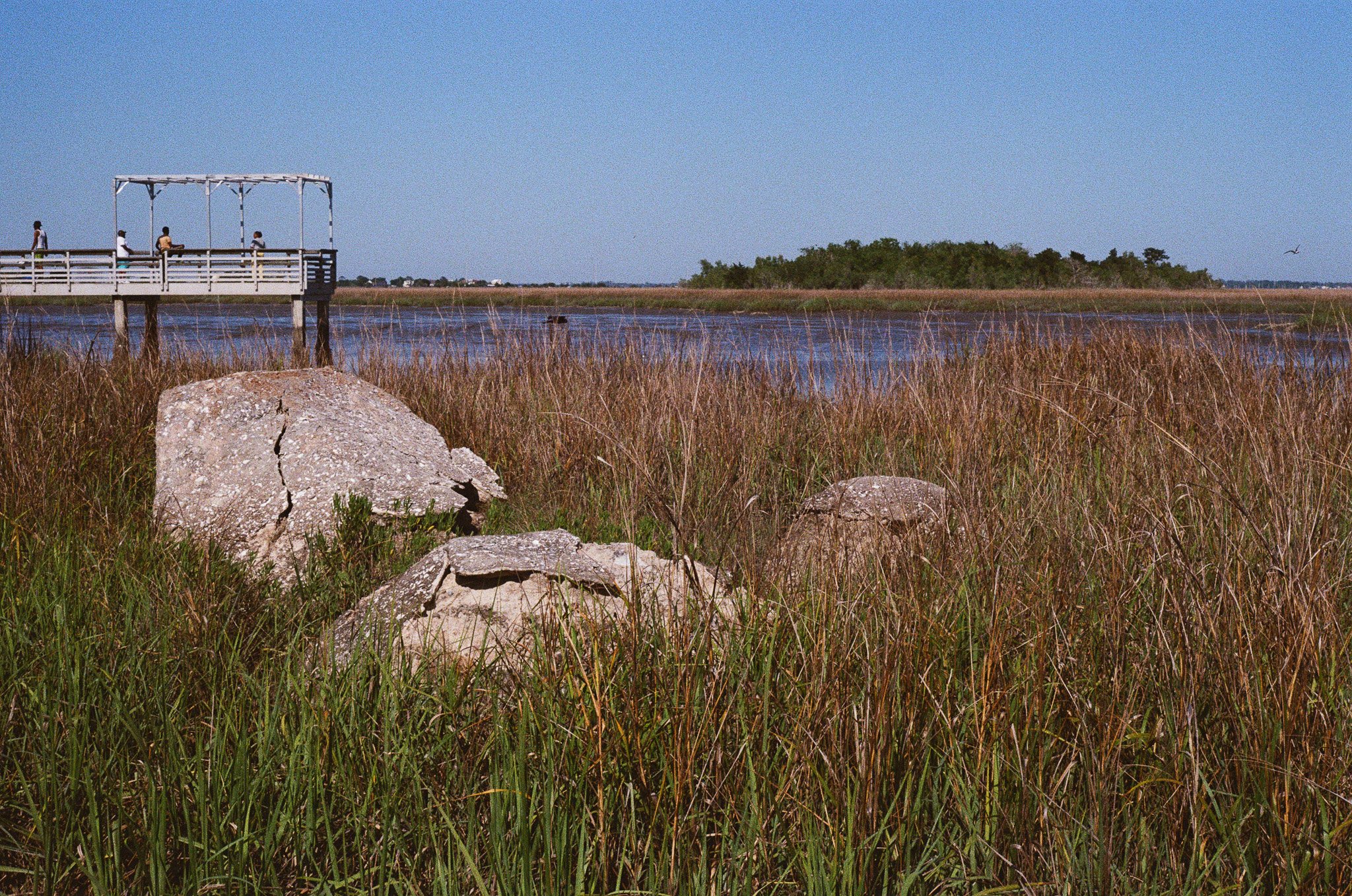 Marsh Ruins Land Art Sculpture by Beverly Buchanan