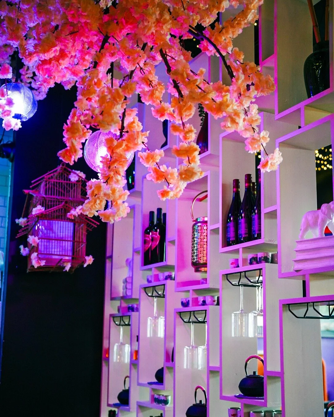 Japanese cherry blossoms remind us: beautiful things are meant to be enjoyed, just like our noodles. 🍜🌸