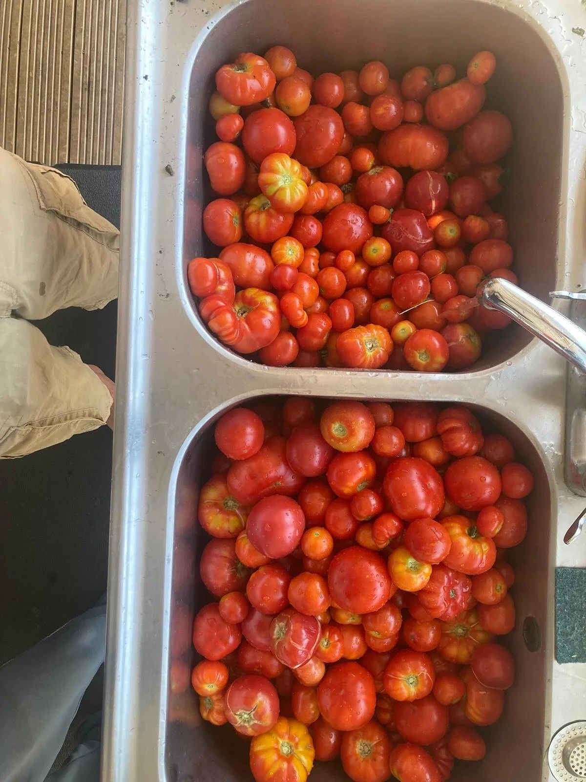 Glorious produce ready for your masala dosa this weekend at Totnes market! It&rsquo;s going to be a warm one, but we are looking forward to seeing you all and sharing this bountiful harvest 🙏🏽