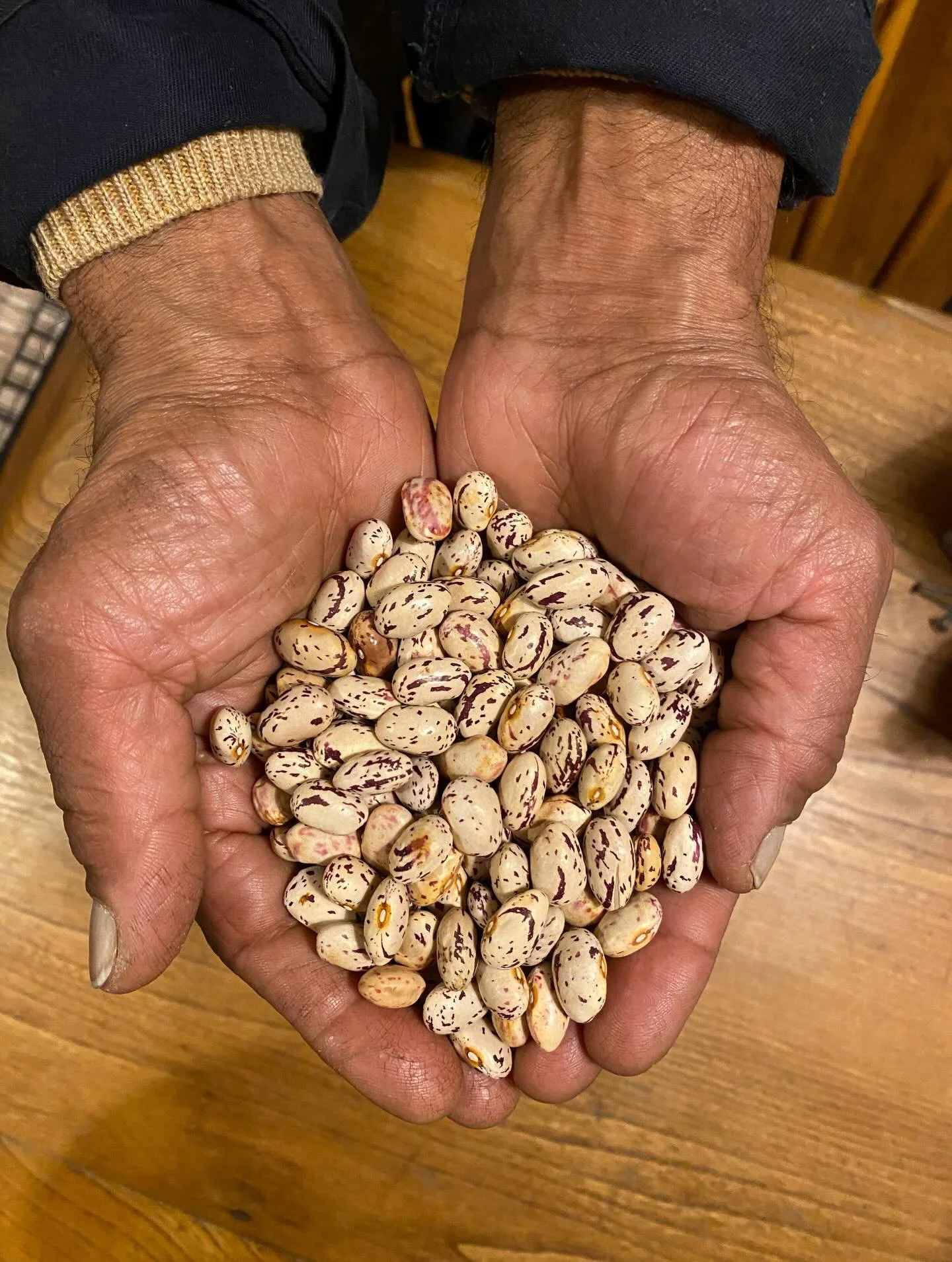 Beautiful Borlotti Beans! 🌱
Running the farm alongside the Dosa Bar is a bit of a juggling act, so I&rsquo;m usually focused on growing crops that are needed for masala dosa, or that can be sold fresh at the markets. But this summer, a customer gave