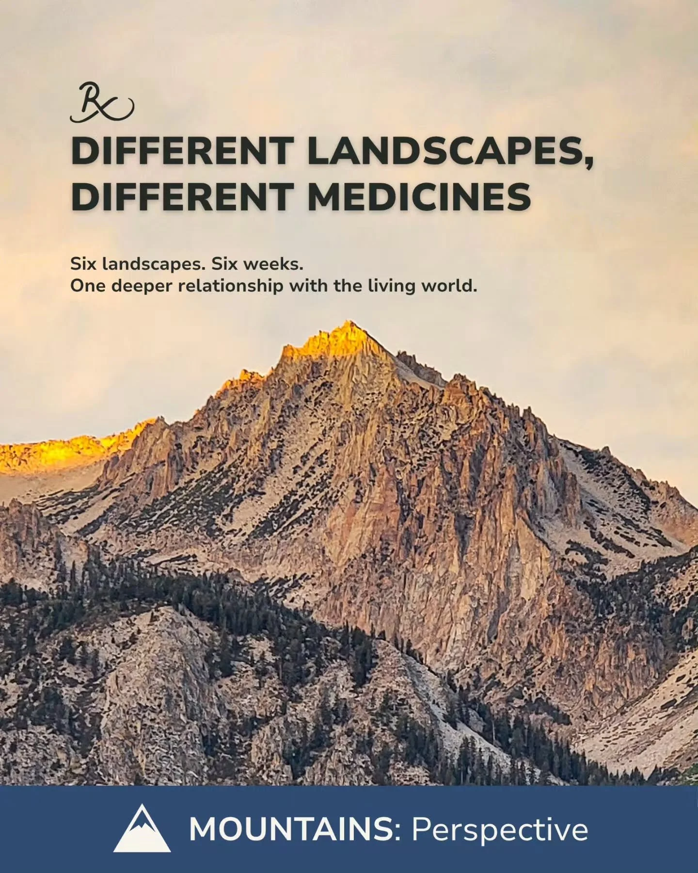 We're starting with mountains next week.

On Wednesday, we kick off our inaugural class of Different Landscapes, Different Medicines.

Each week we'll go through a different landscape that we steward and come together as a community to reflect on the
