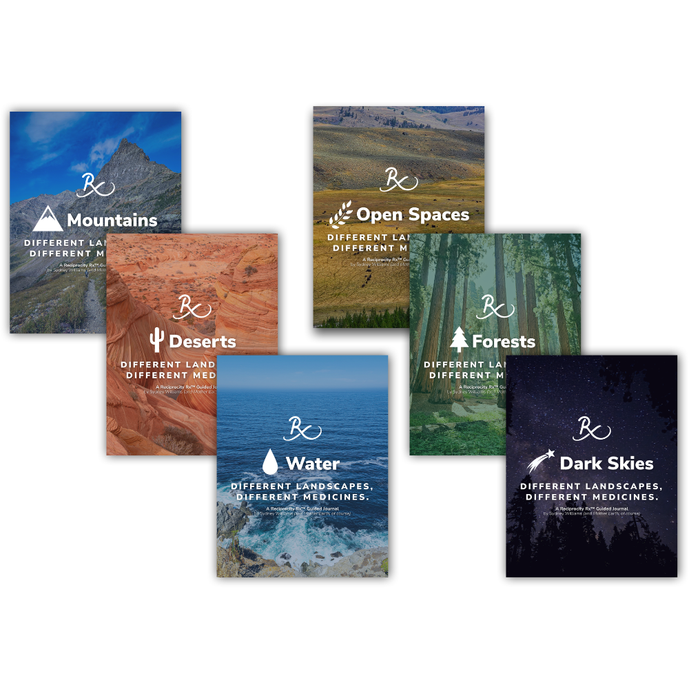 Guided Journal (PDF)